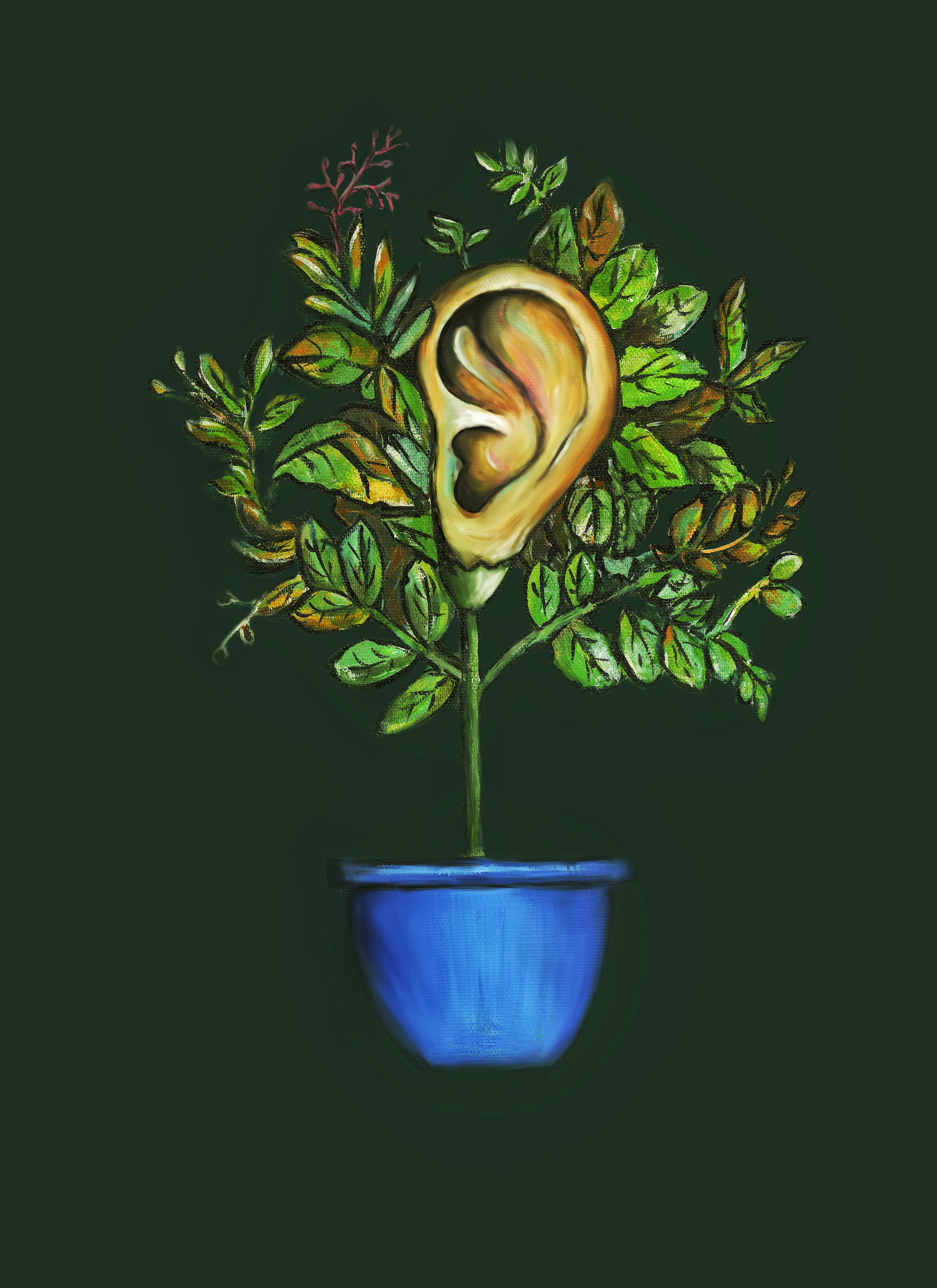 Blooming 