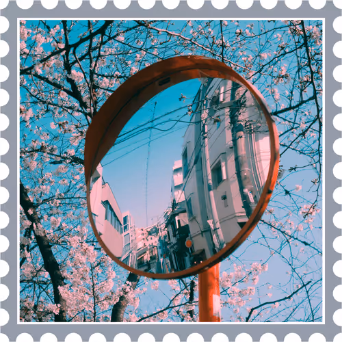 A Sakura Daze