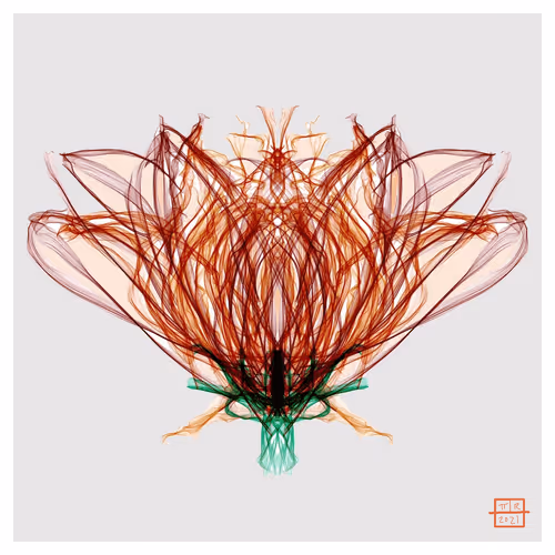 Chrysanthemum