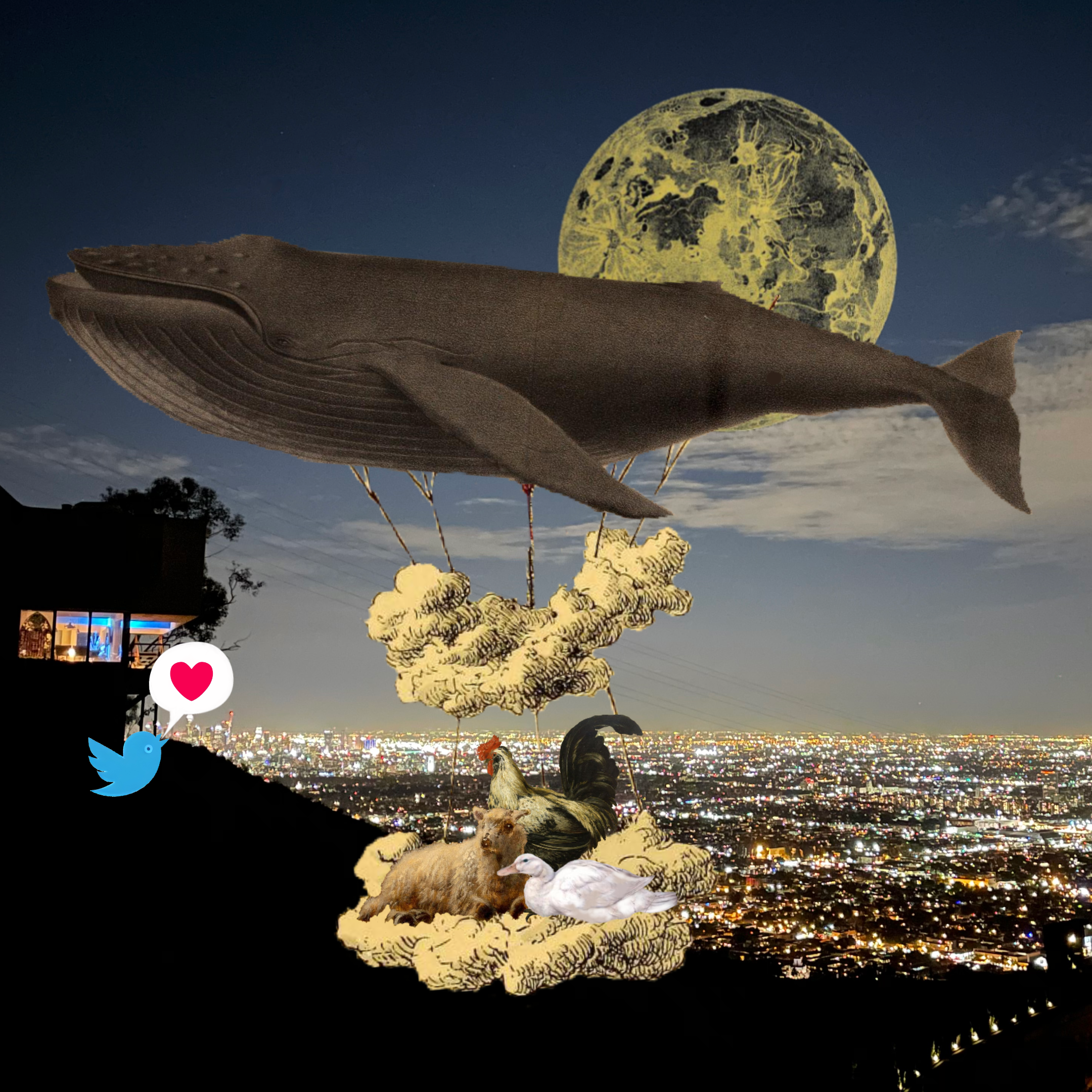 Airship #123
