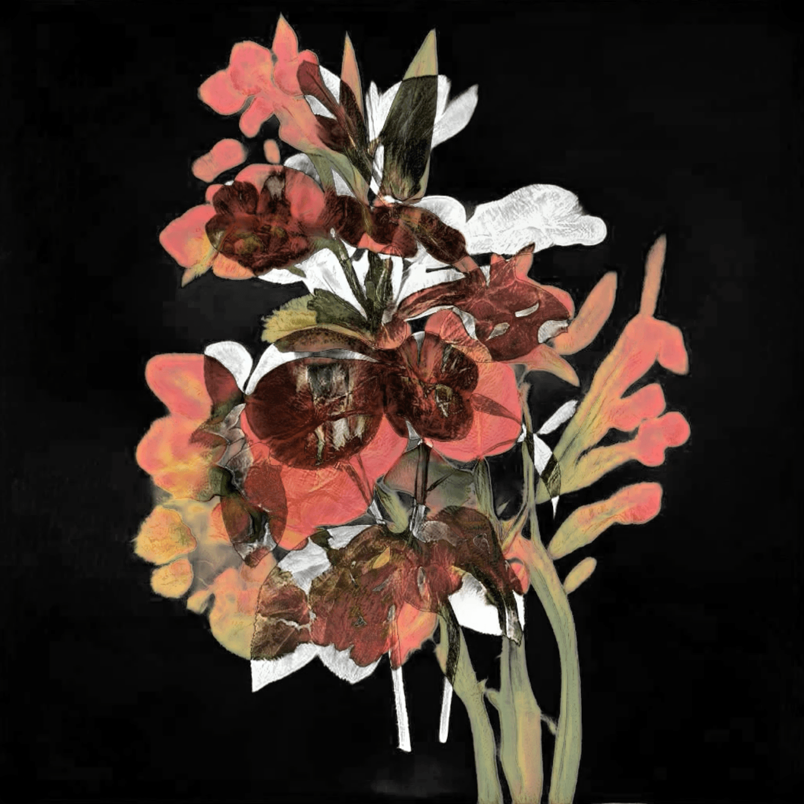 Floral Shift - Gramineae extra