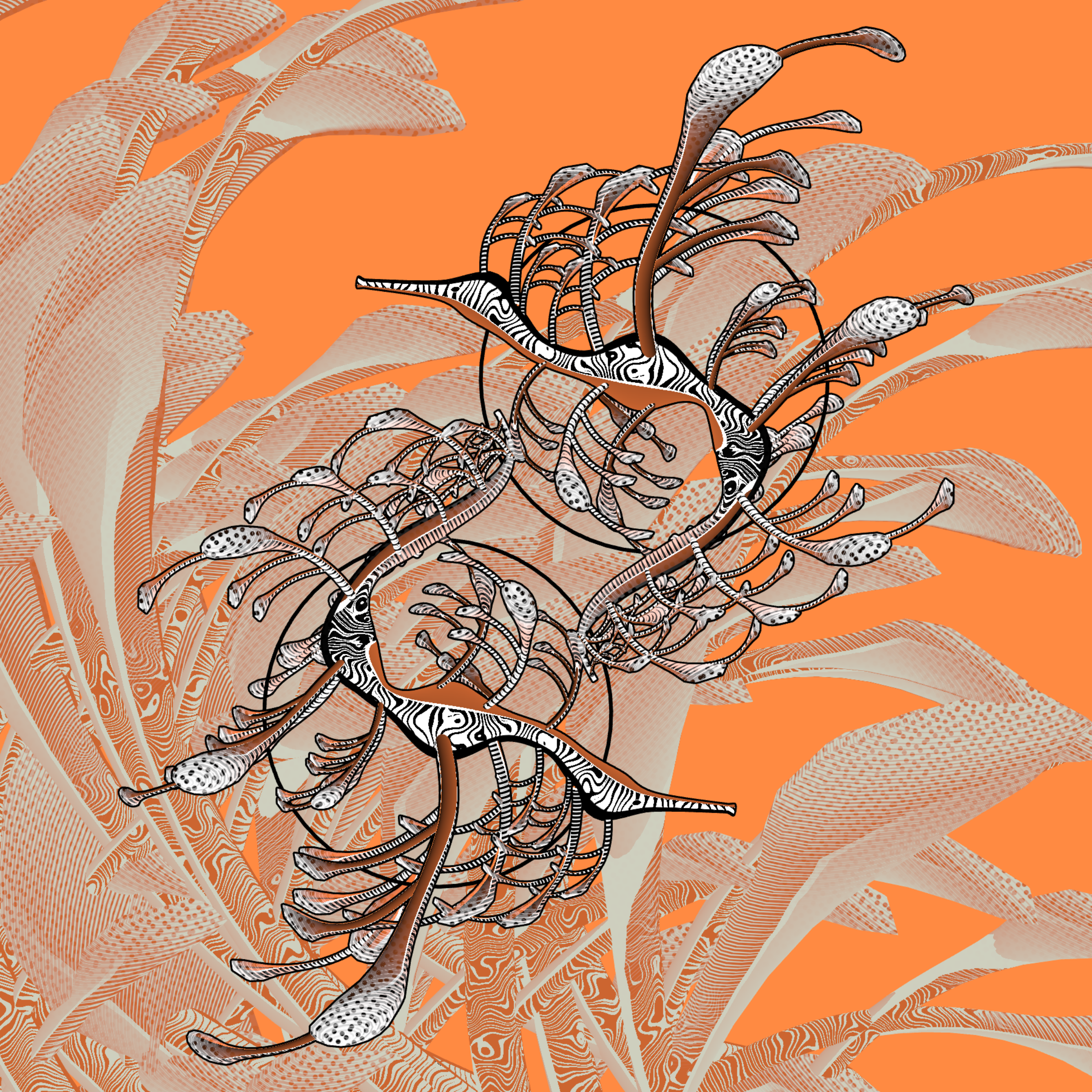 Seadragons #608