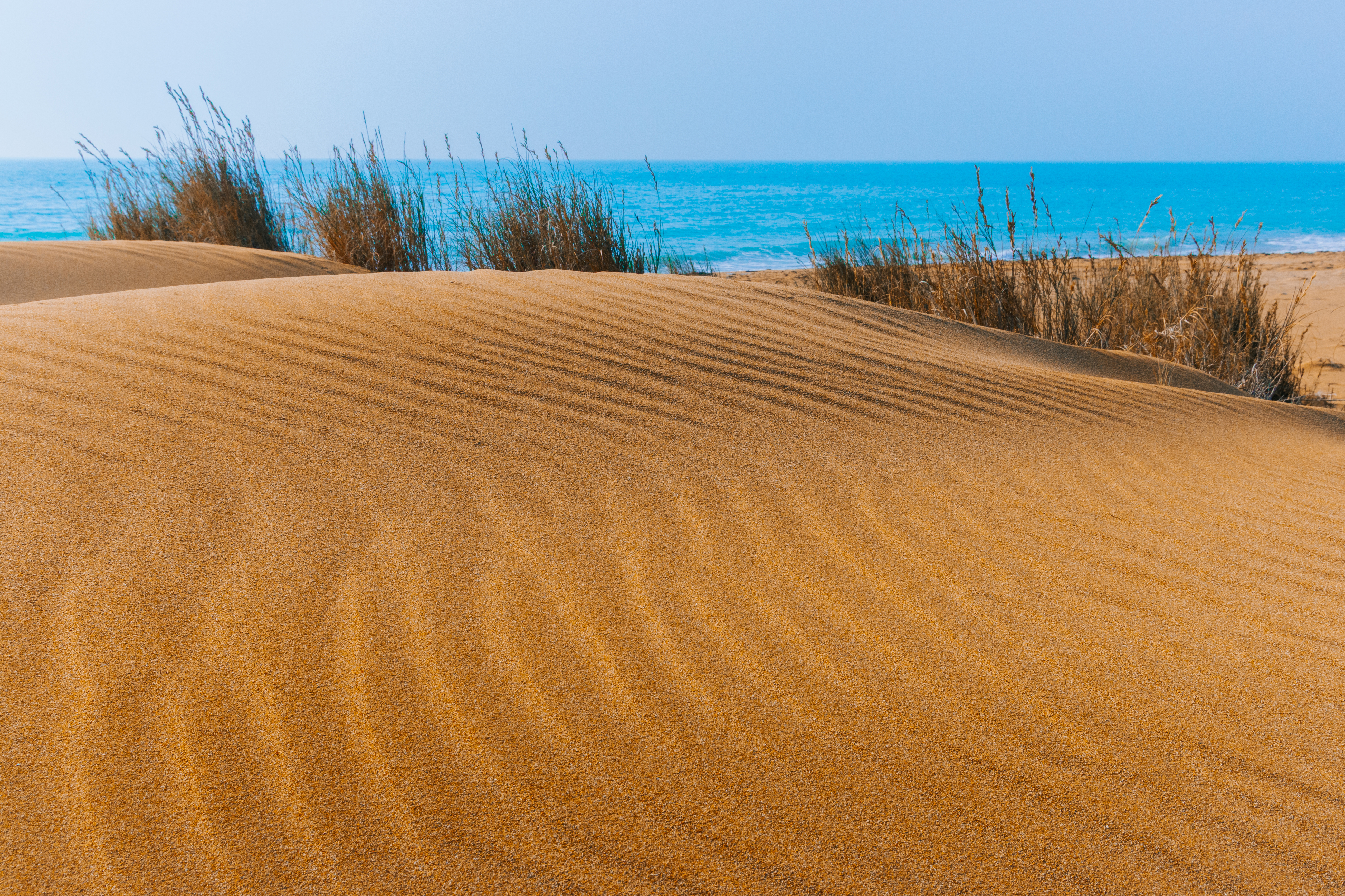 La Mémoire des Vagues