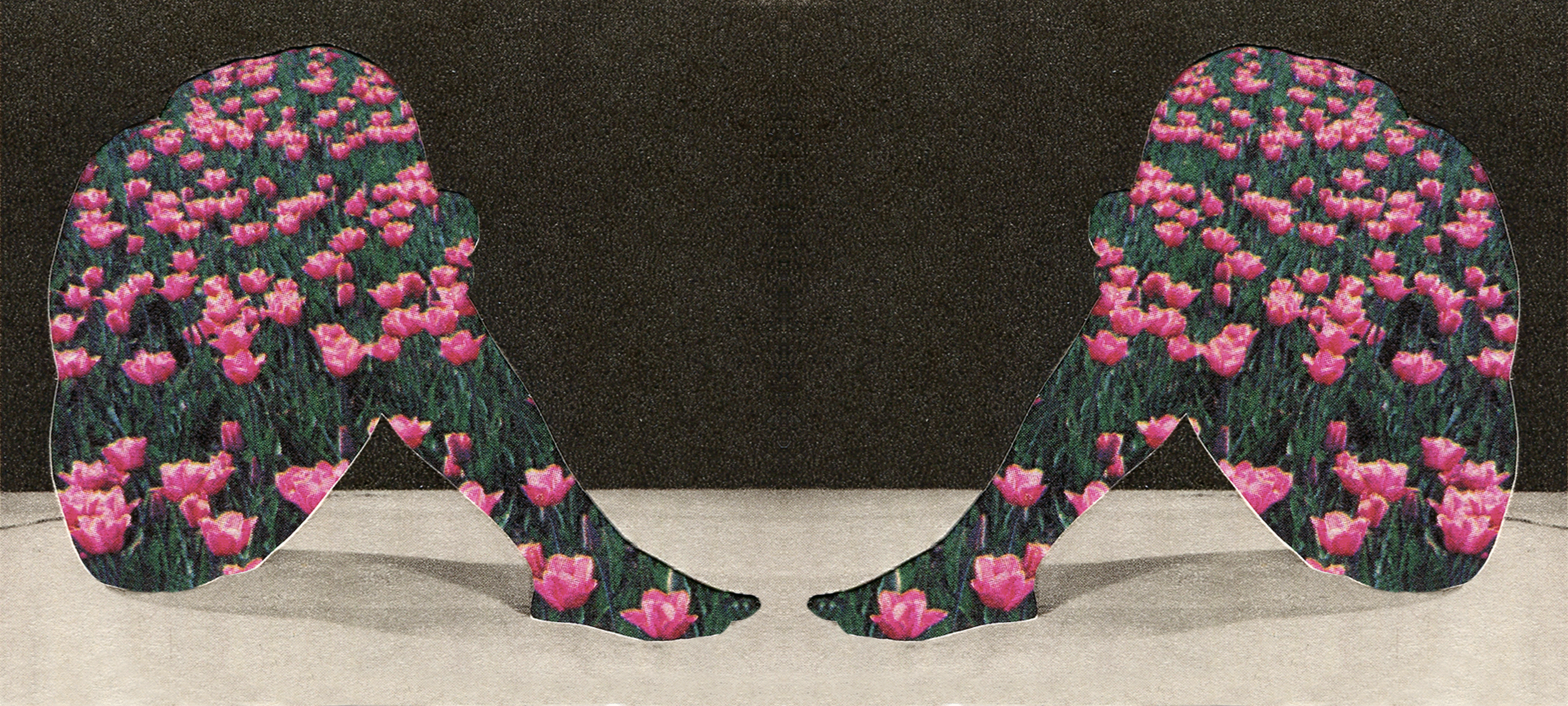 Gemini Twins