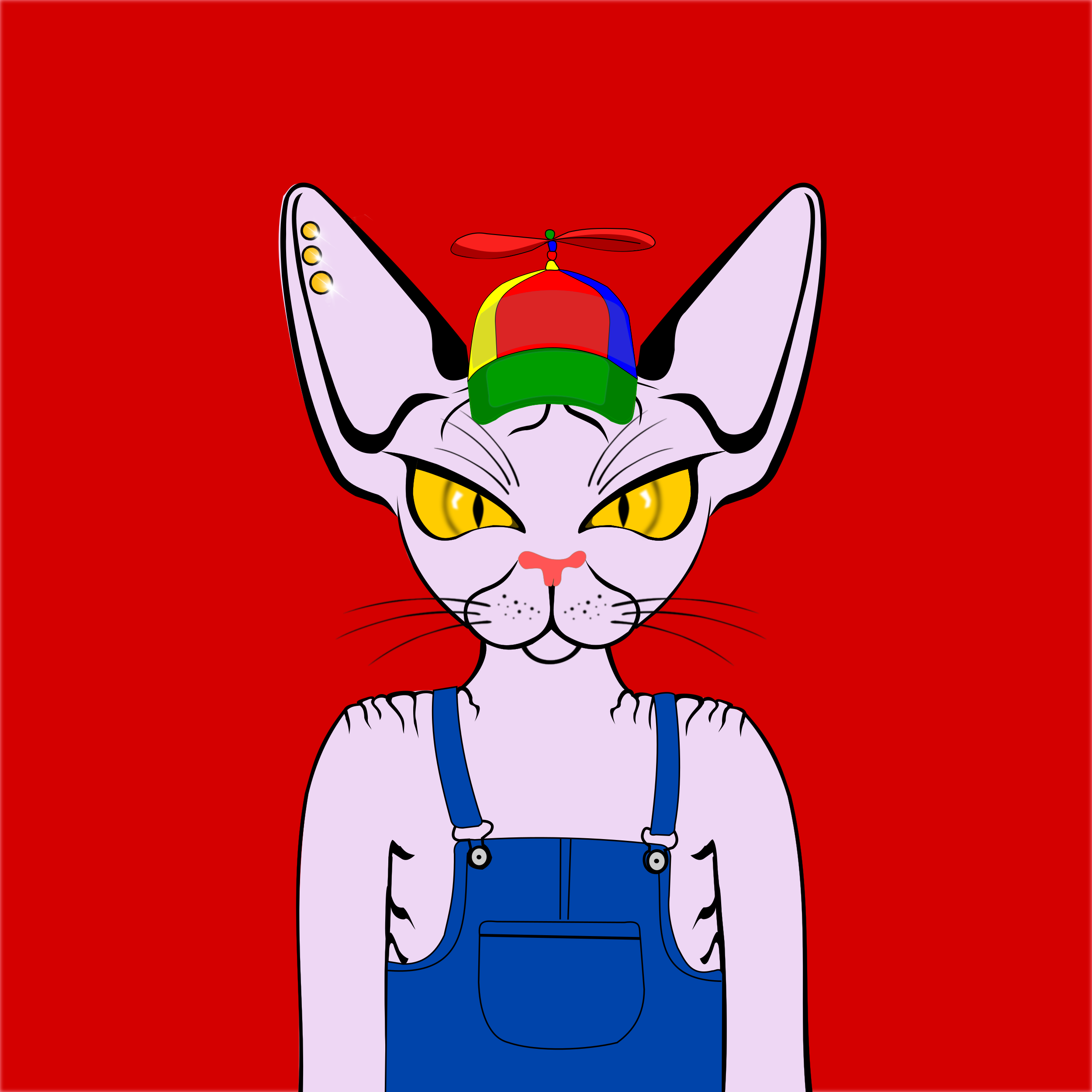 Toronto Sphynx Cats #101