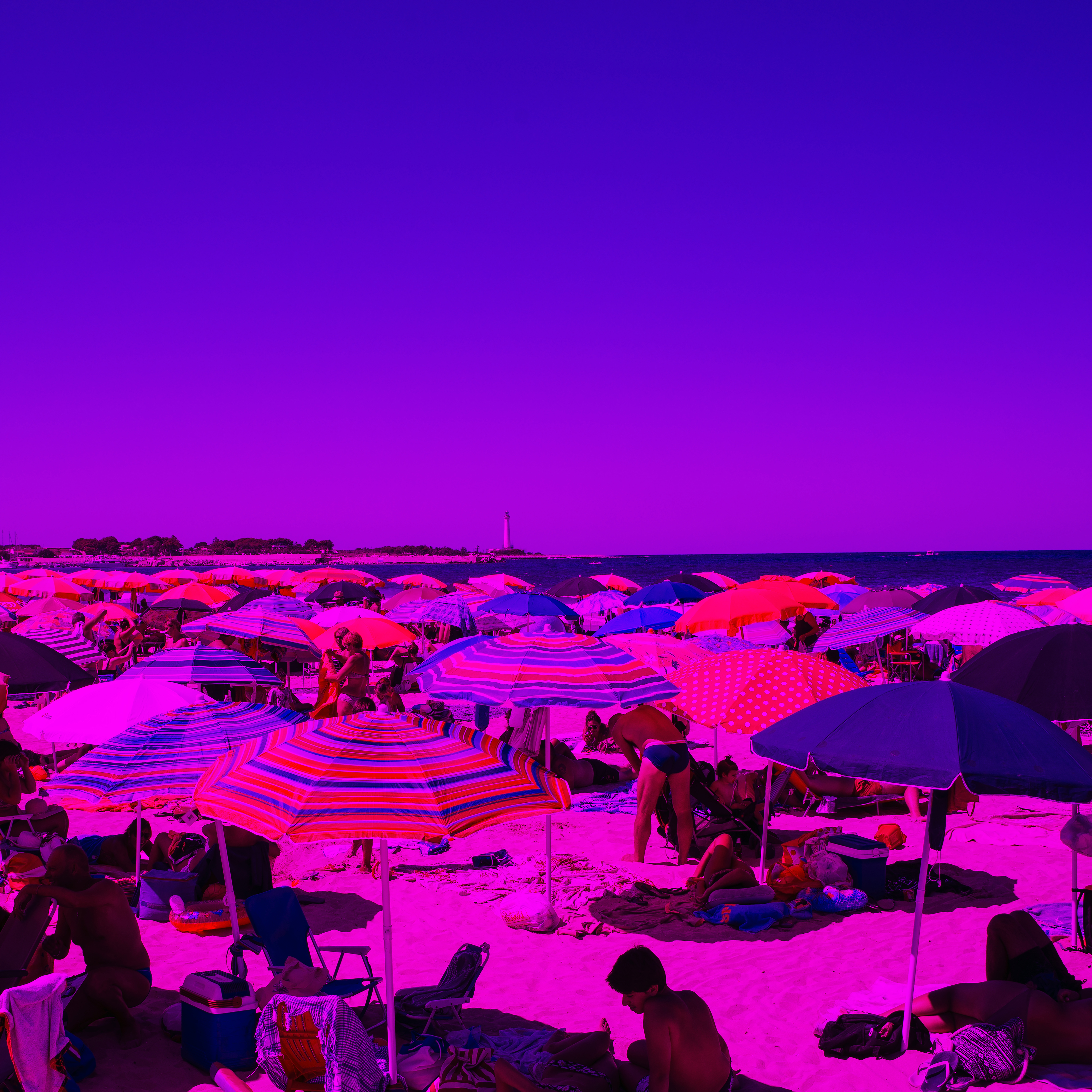 Meet Me At The Beach