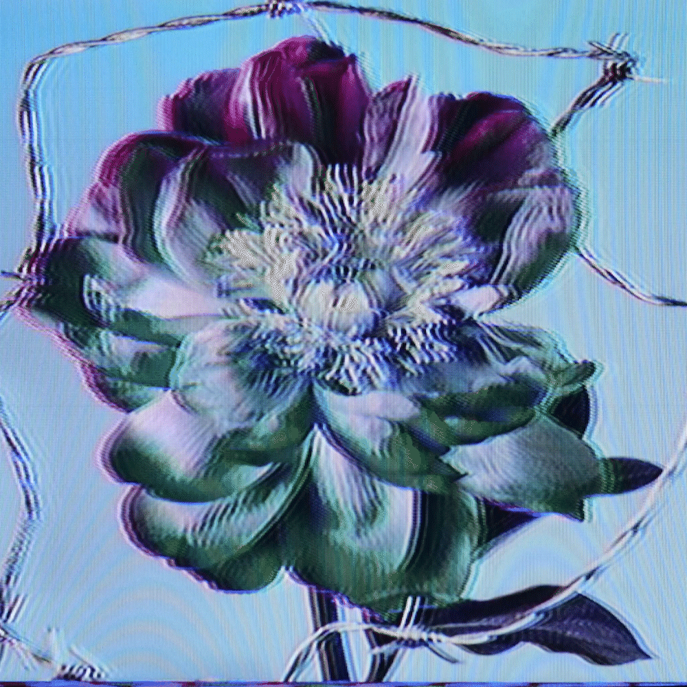 Flower #43