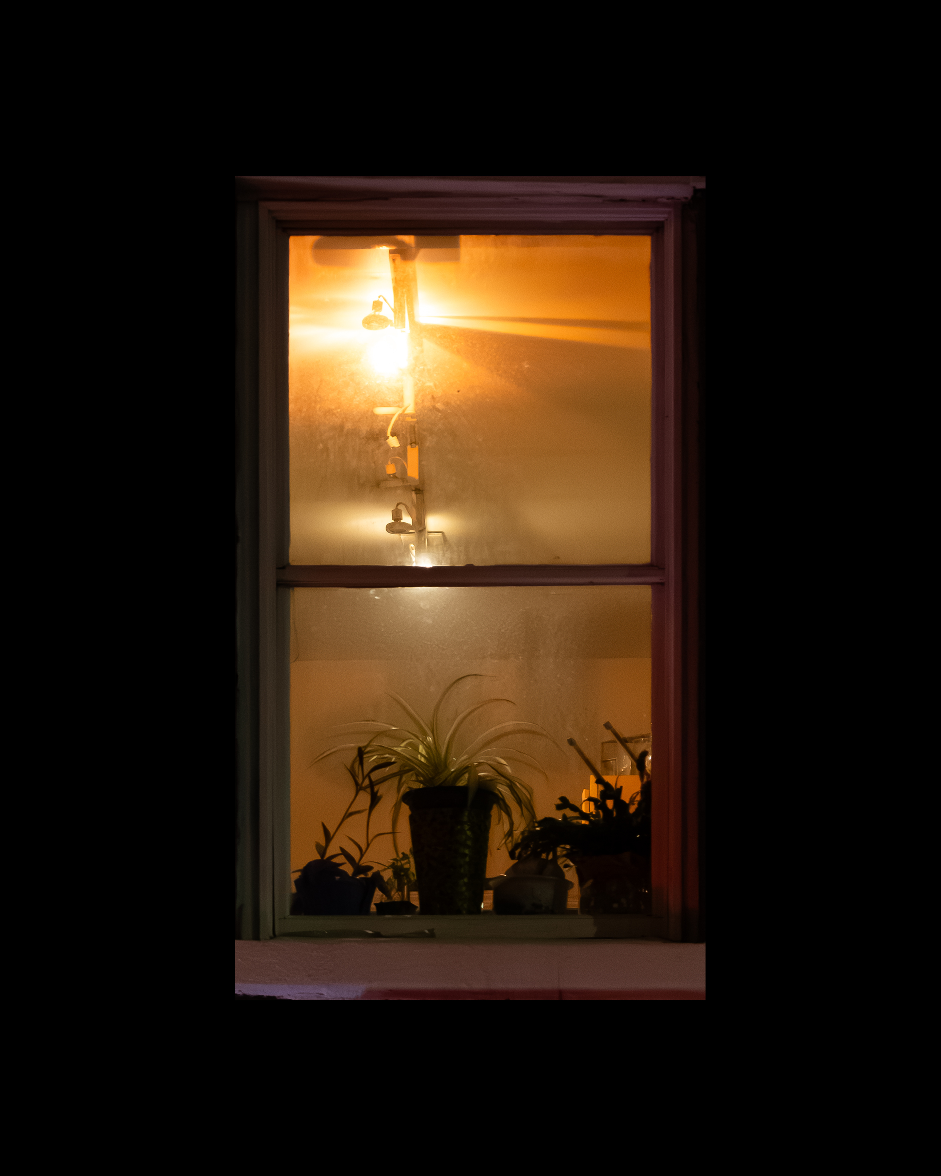 WINDOW 4