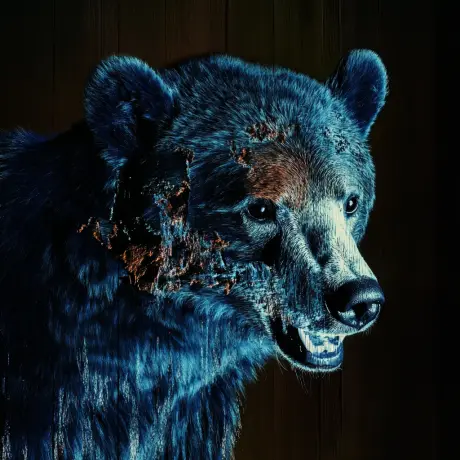 bear #2089