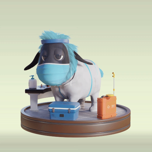 Sheep #569