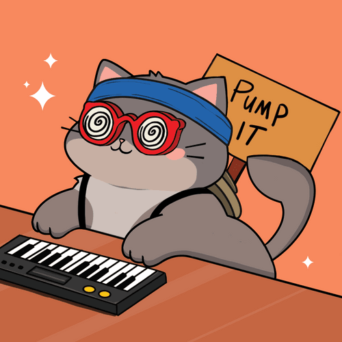 Bonito Catito #537