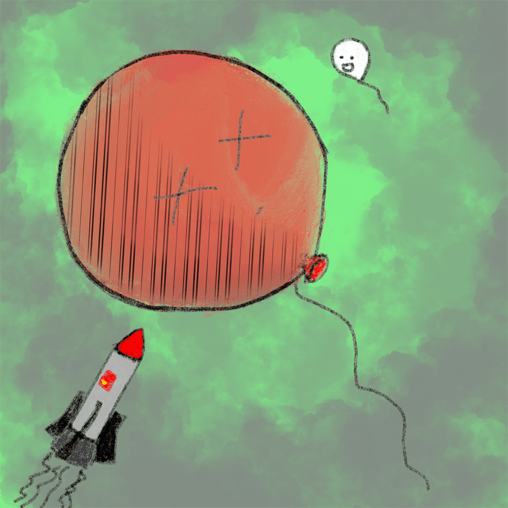 Luftballon 3019