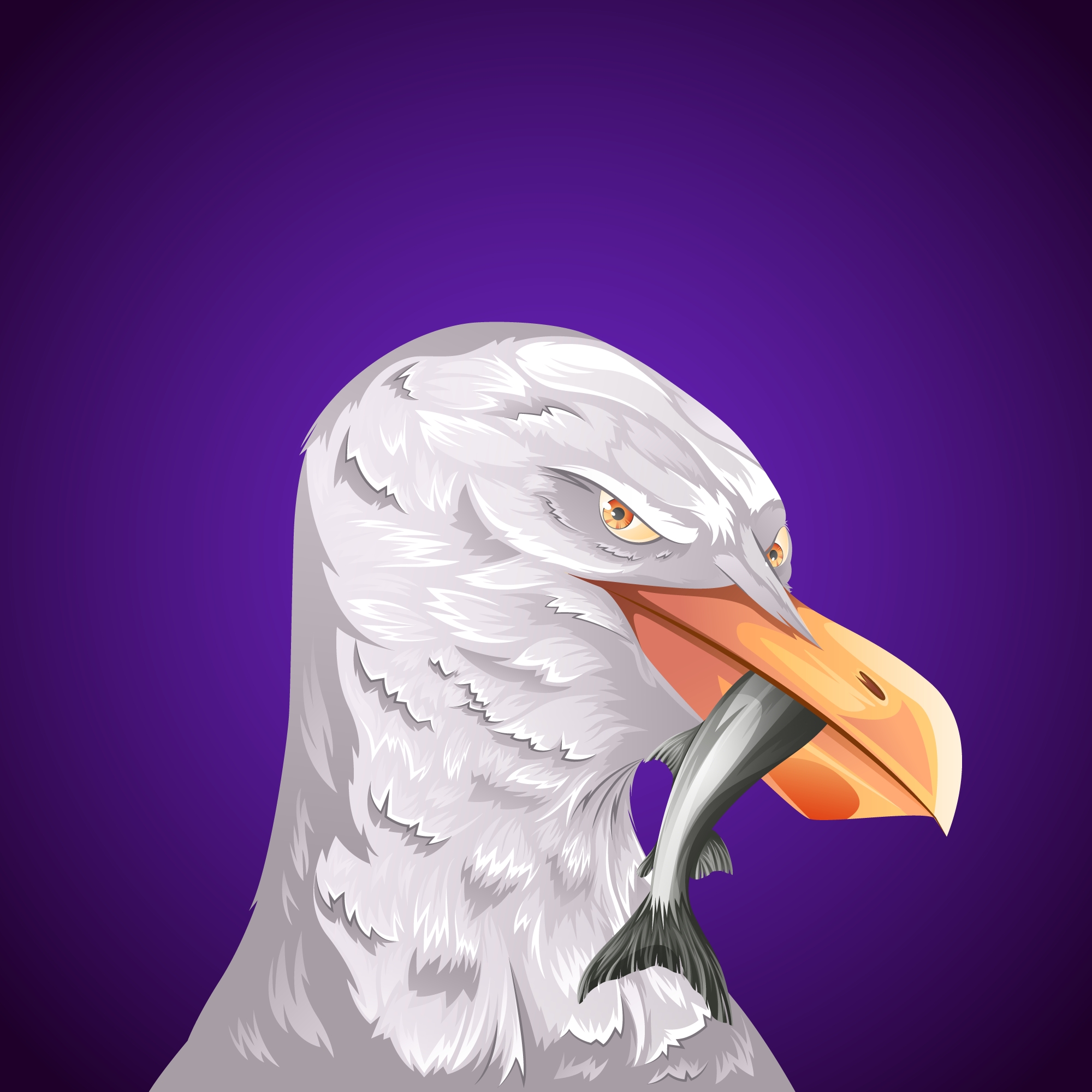 #363 Seagull