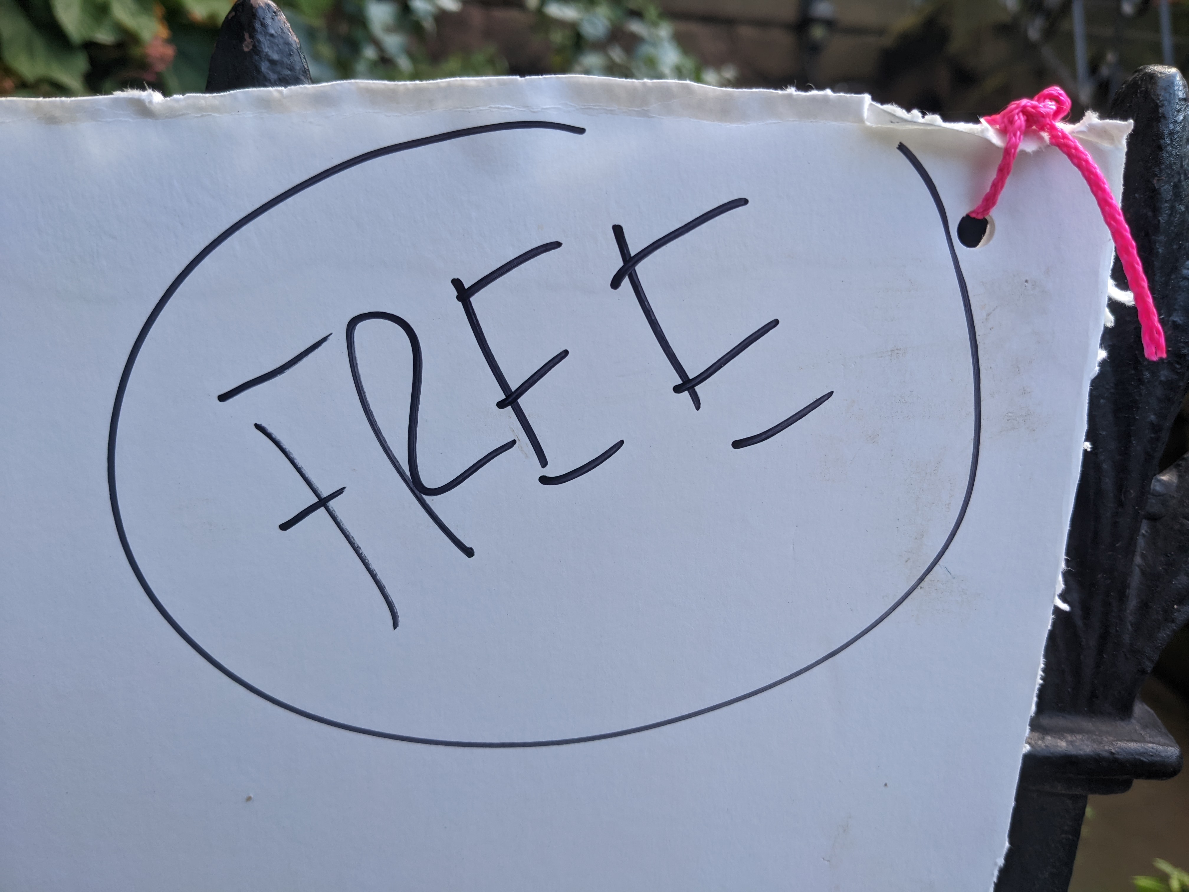 Free9 #5