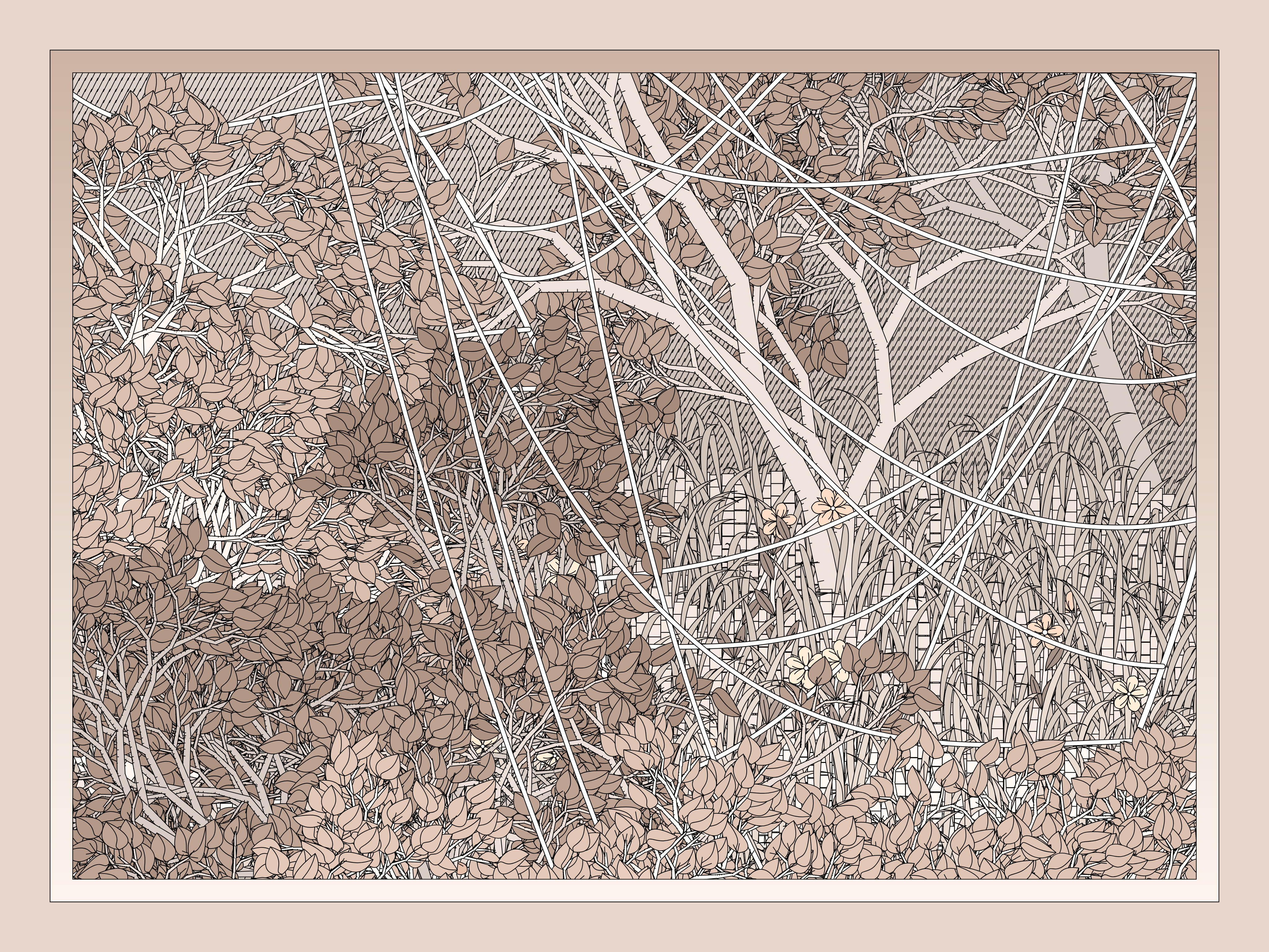 Entangled #55