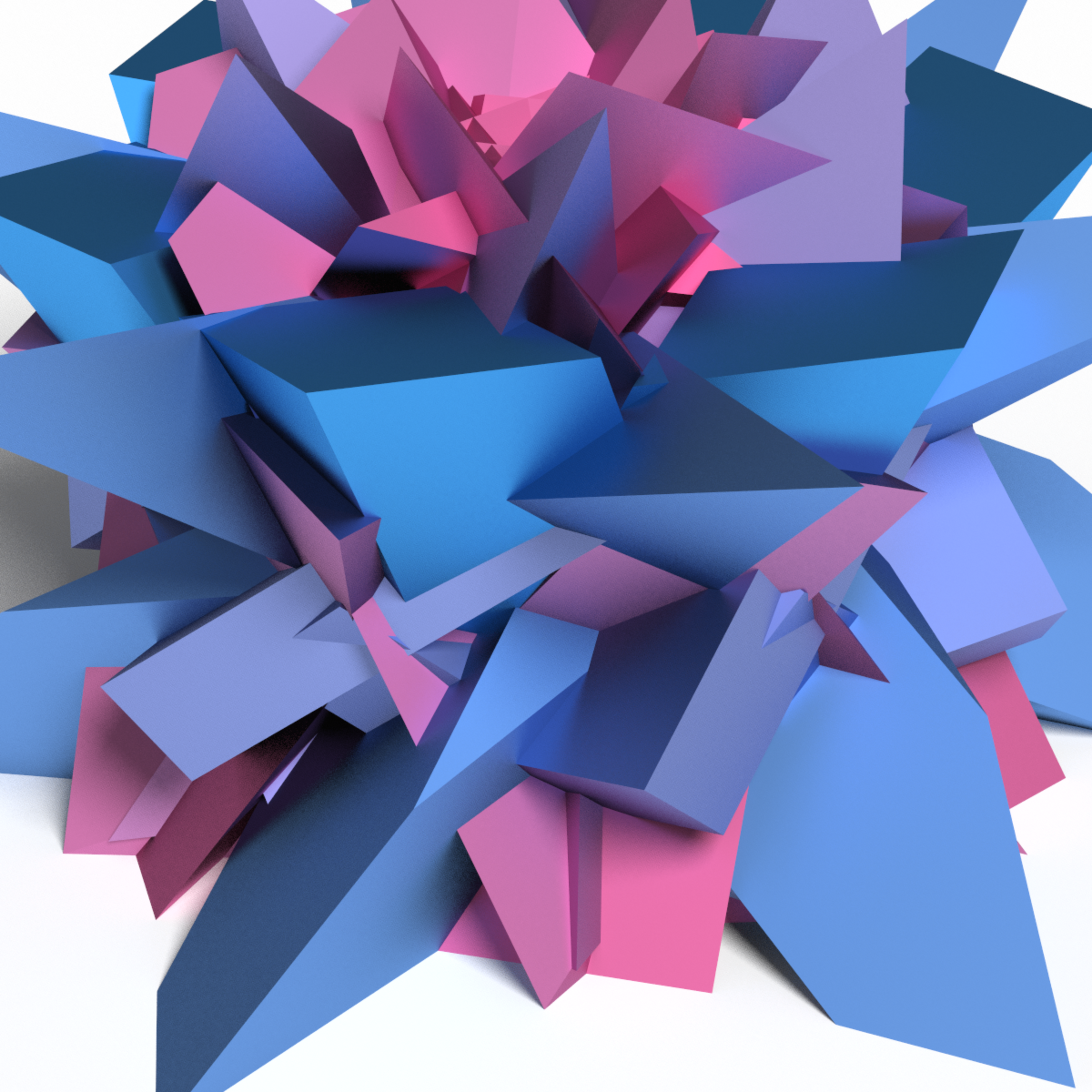 Facets #51