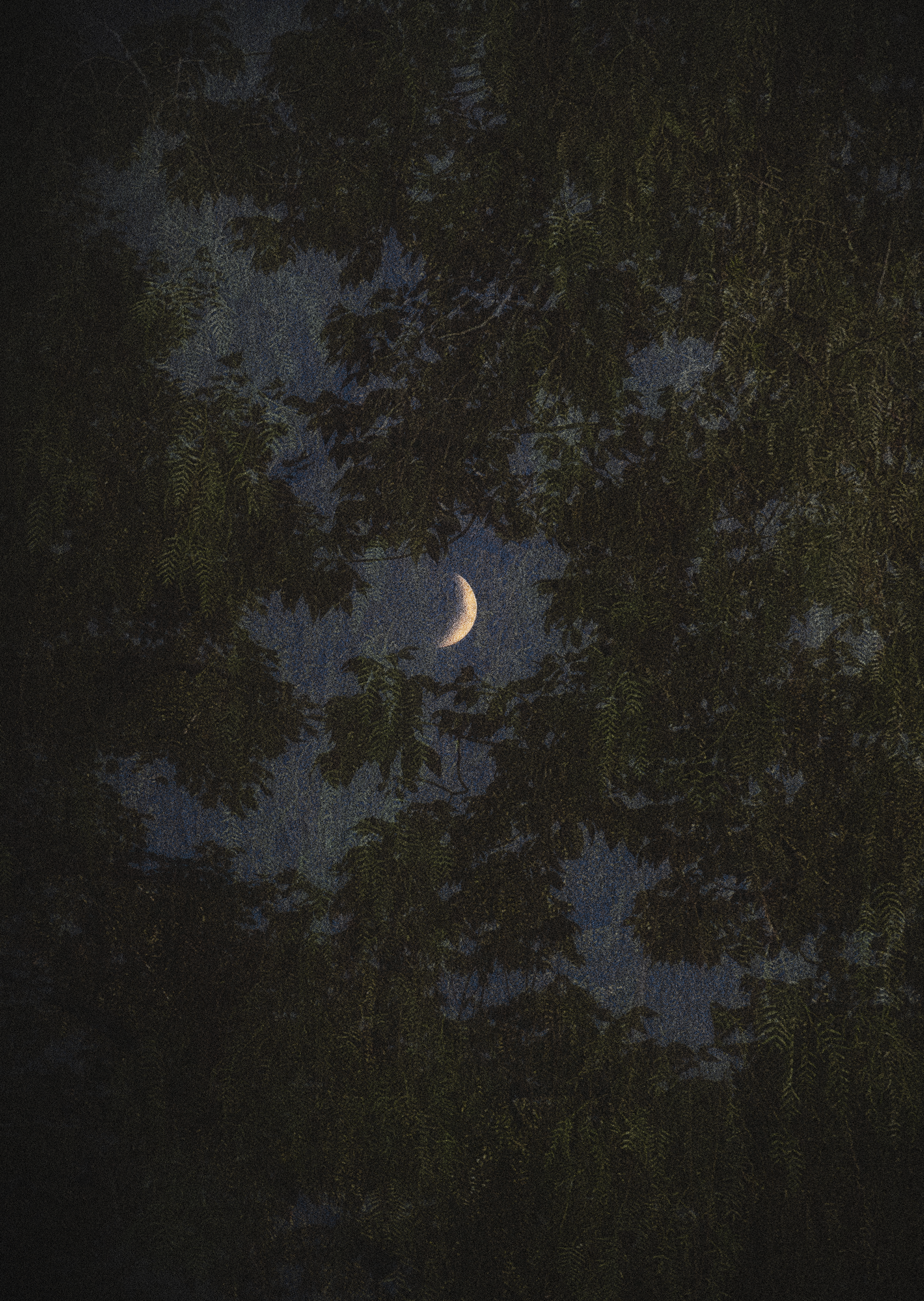 Day into Night