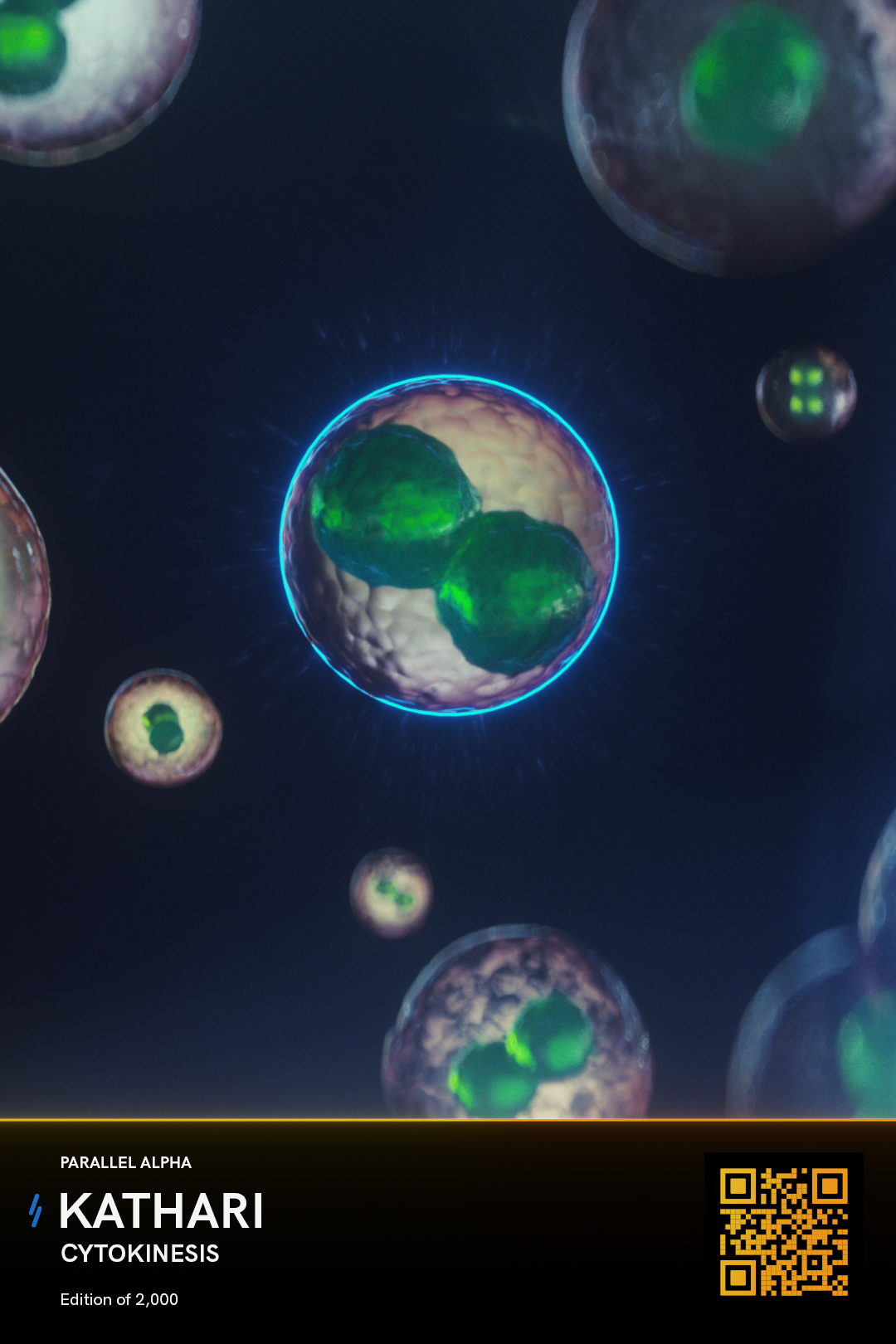 Cytokinesis