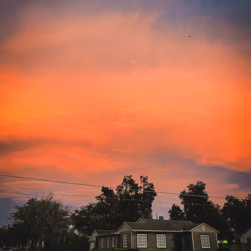 Dlawr: Photo a Day #255