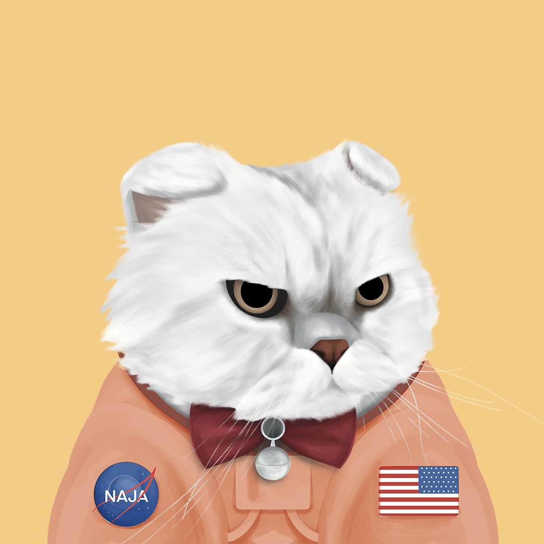 FatCatPlanet #433
