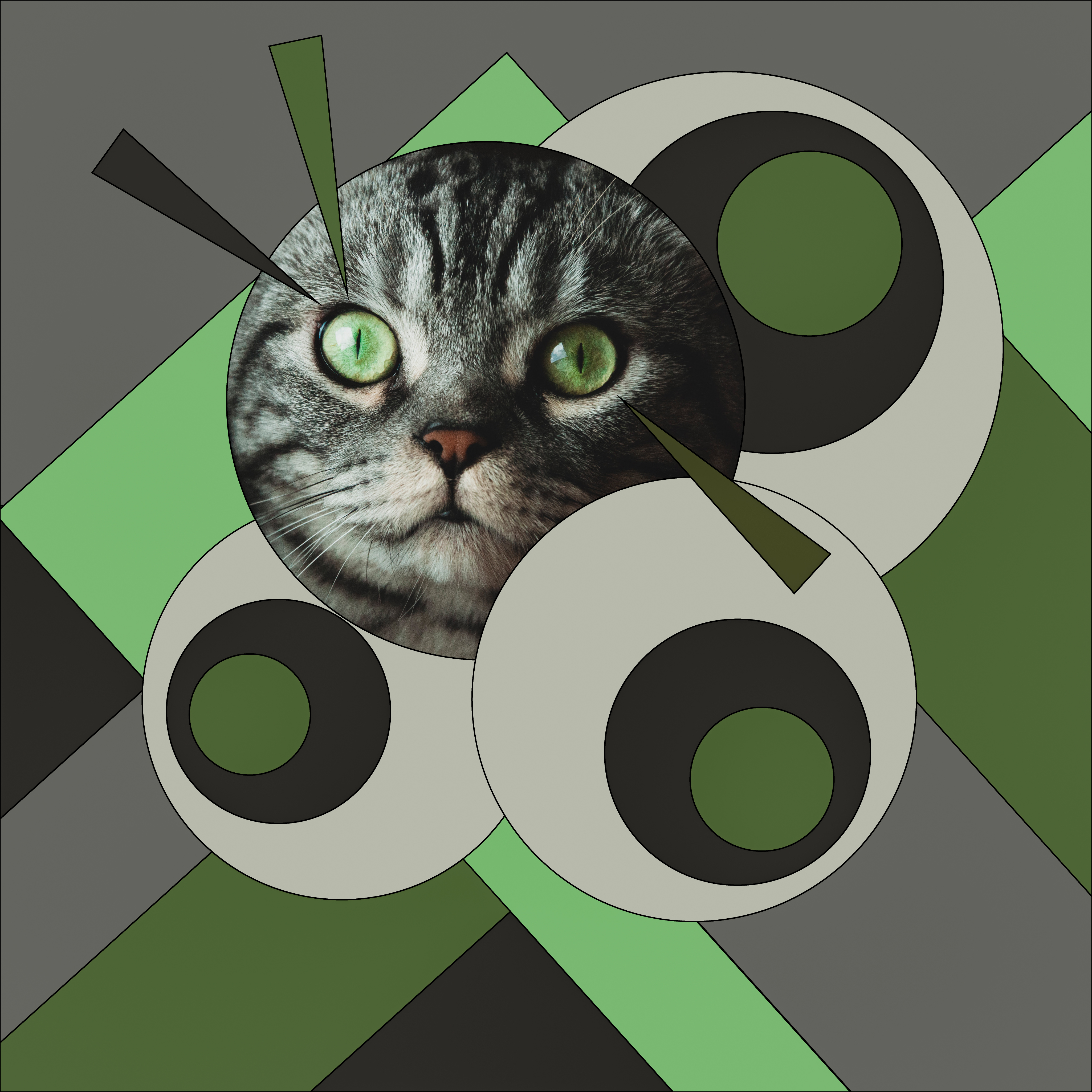 Watchful Cat