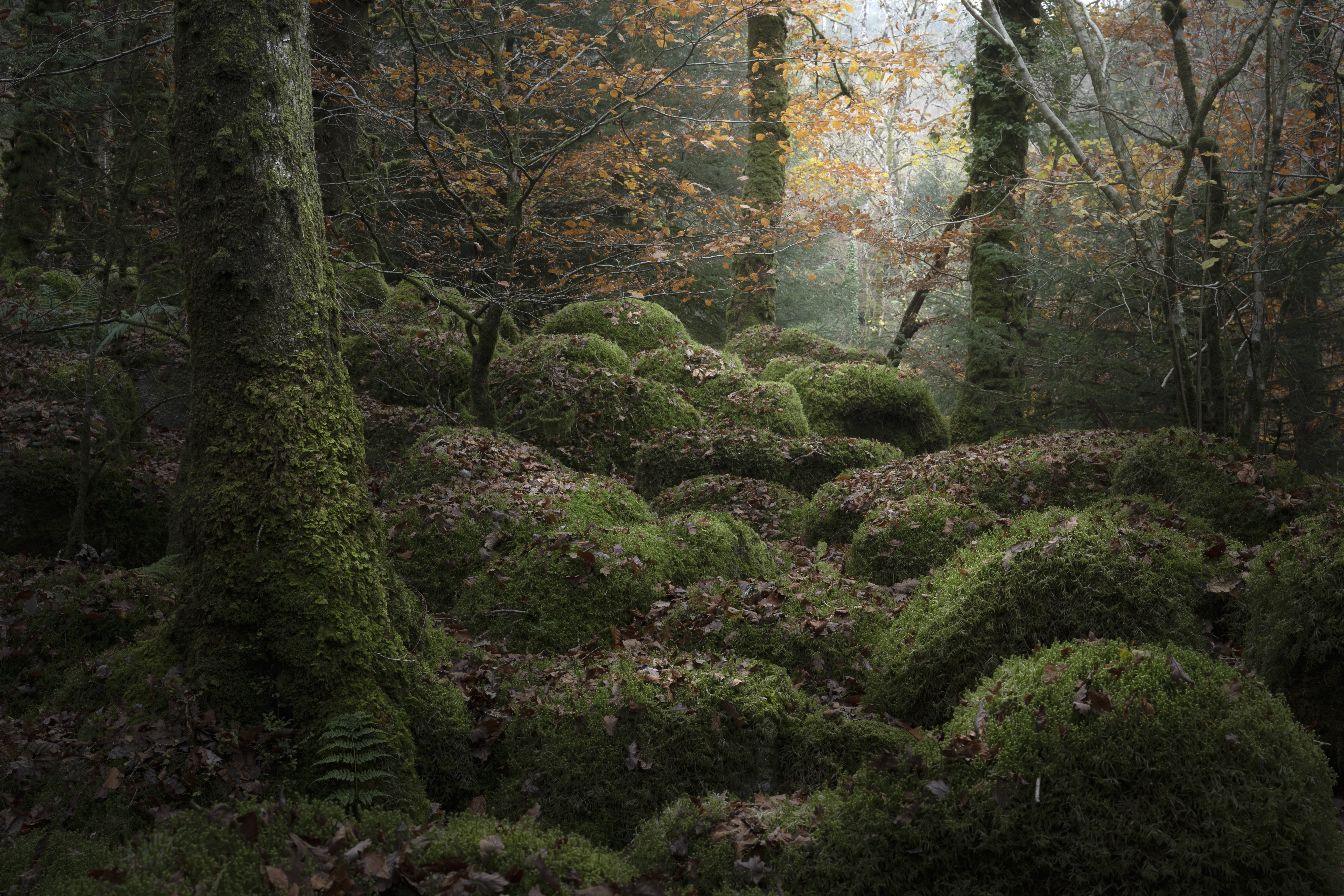 GATEWAY