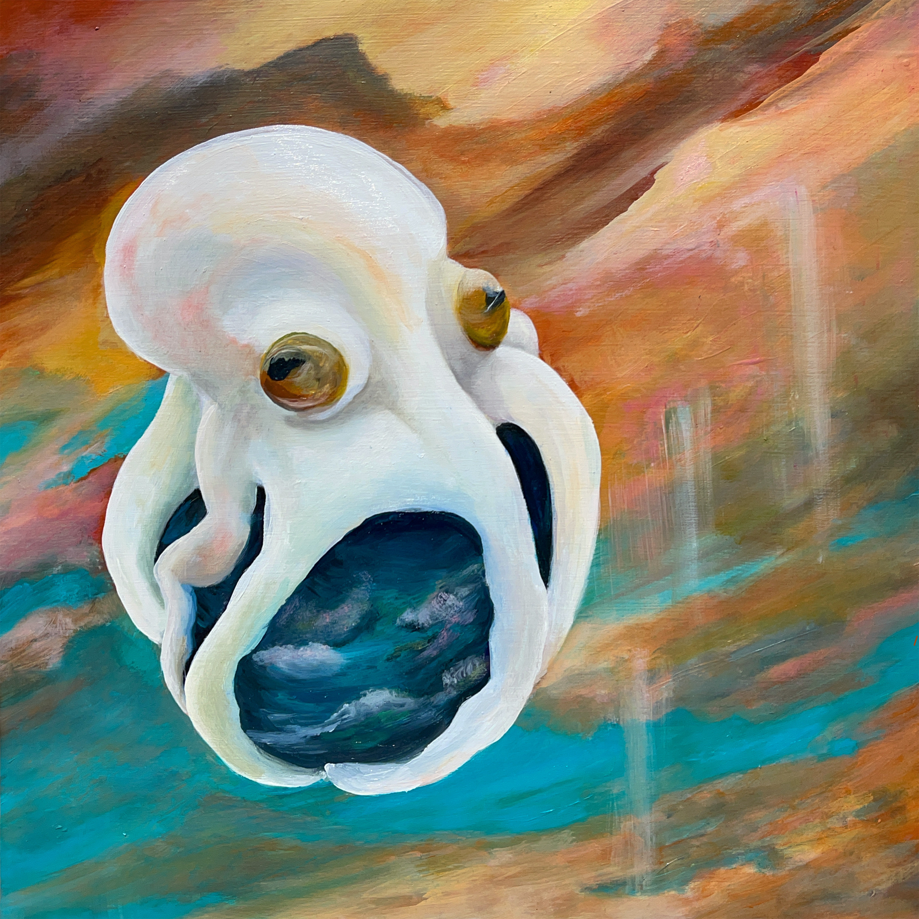 Cephalopod Dreams