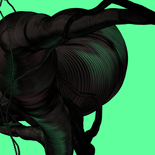 Wormhole #54