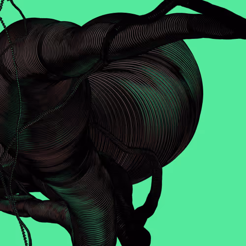Wormhole #54
