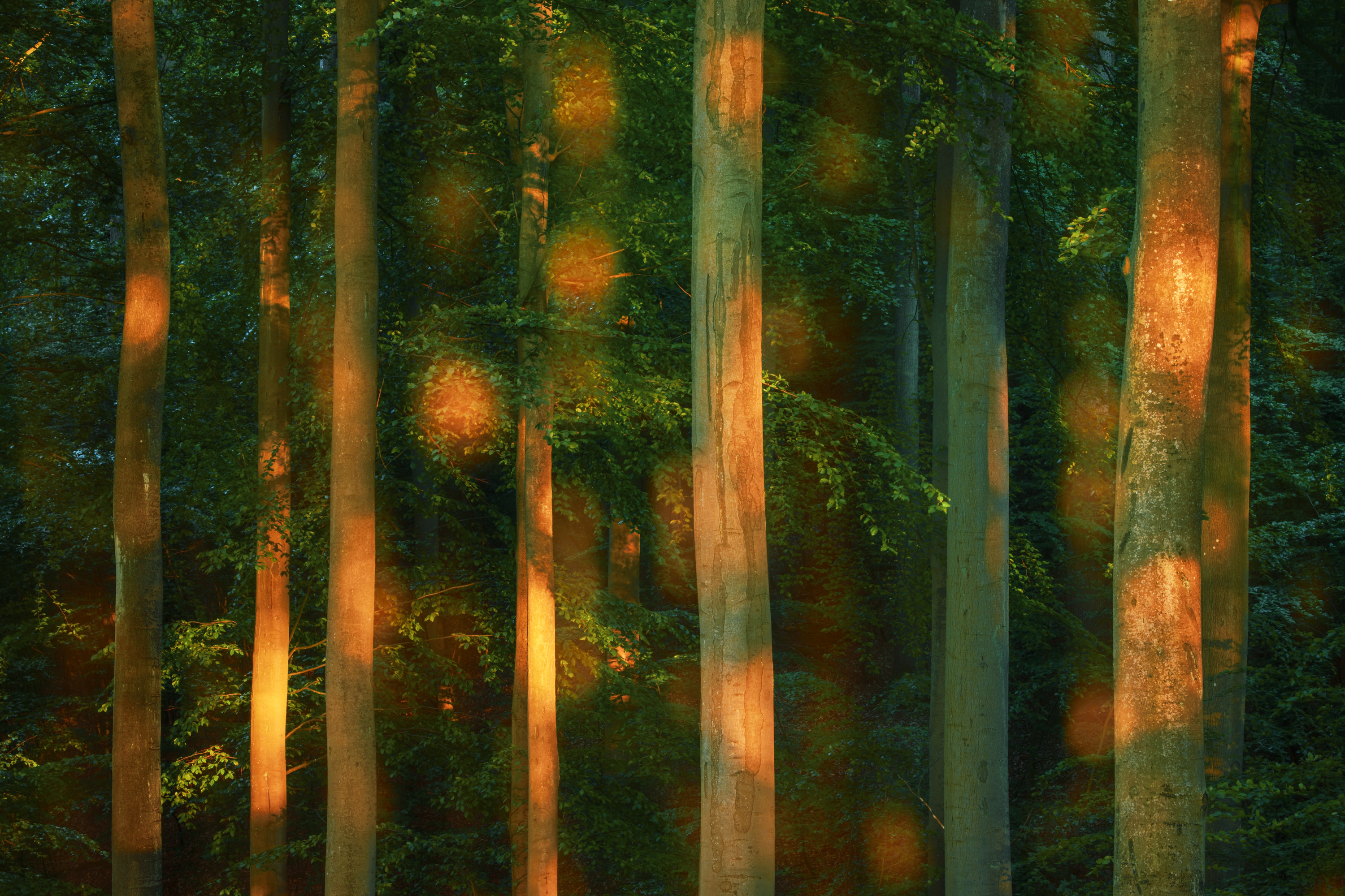 PHOTOPIA 2022 #531