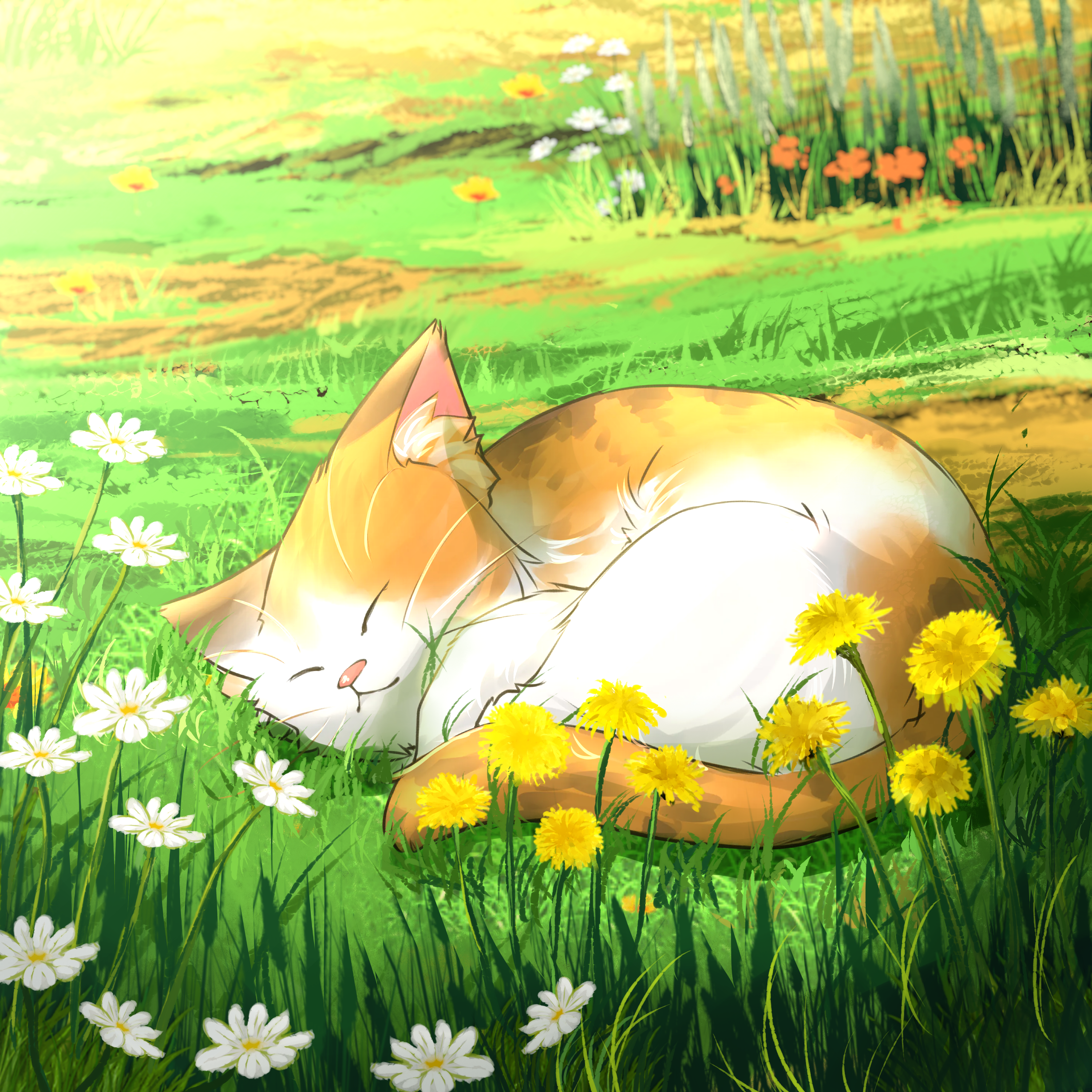 Meowmeow Pass - #378