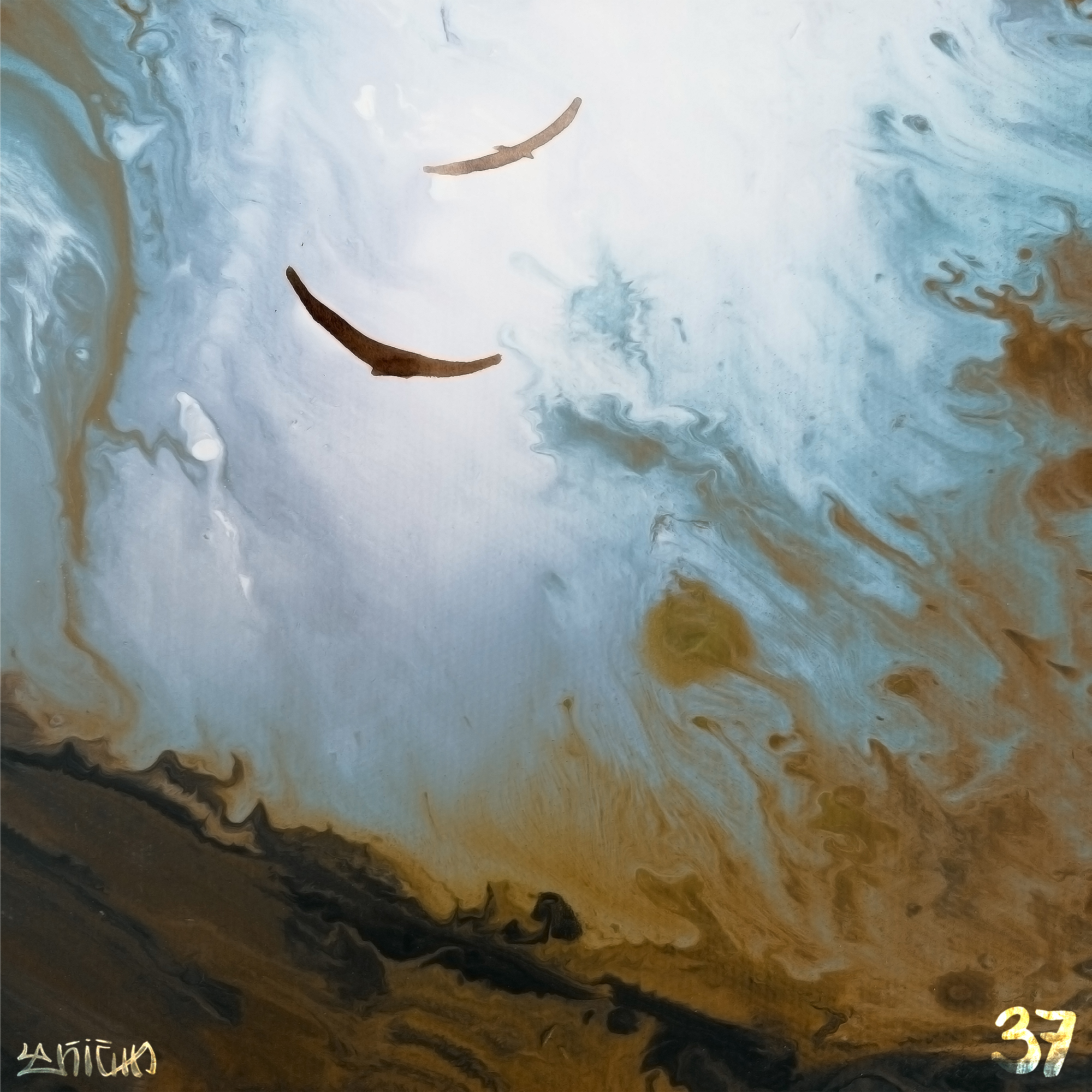 Fluidscape №37
