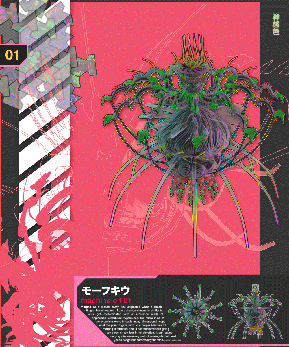 morphq #19/27