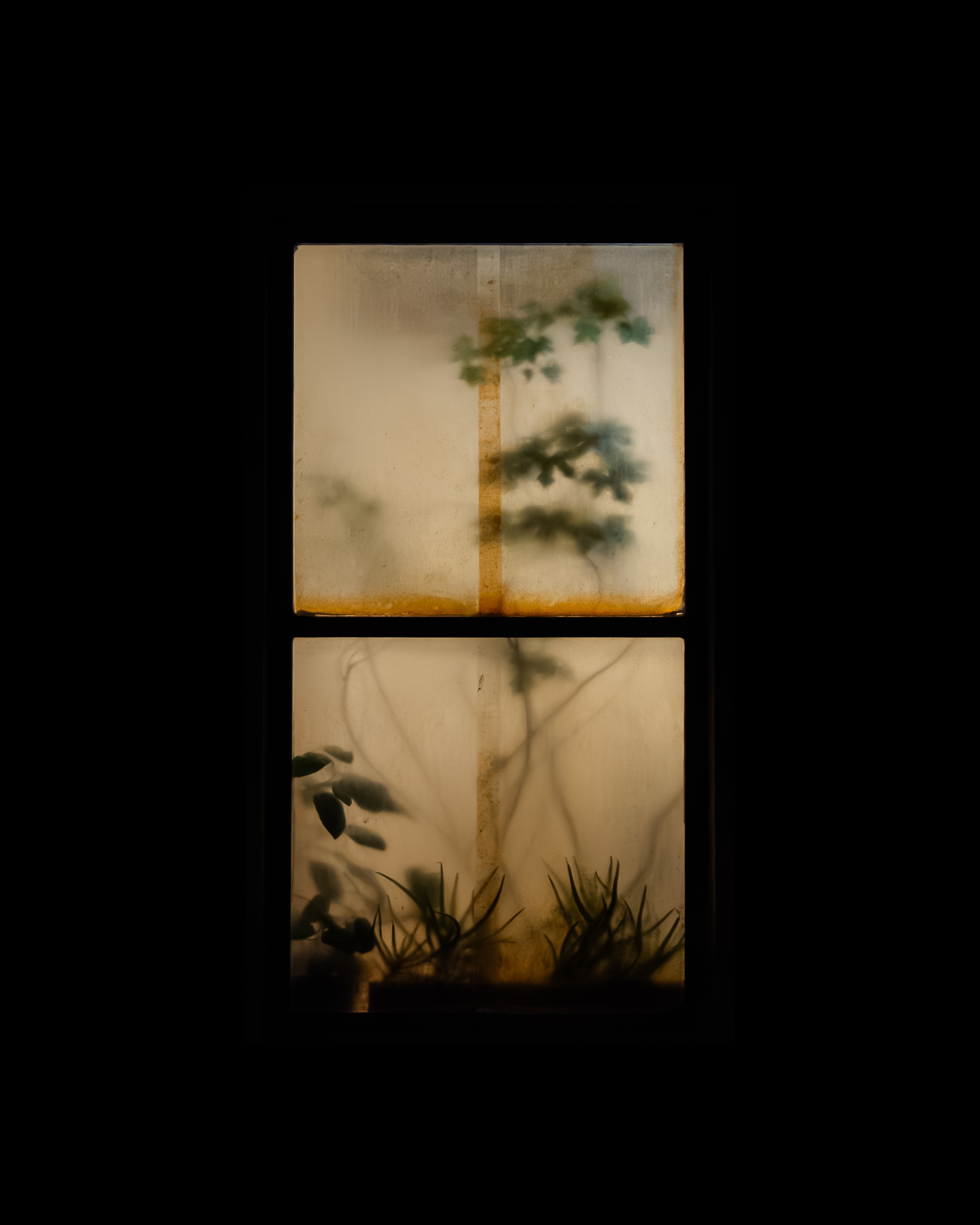 WINDOW 260