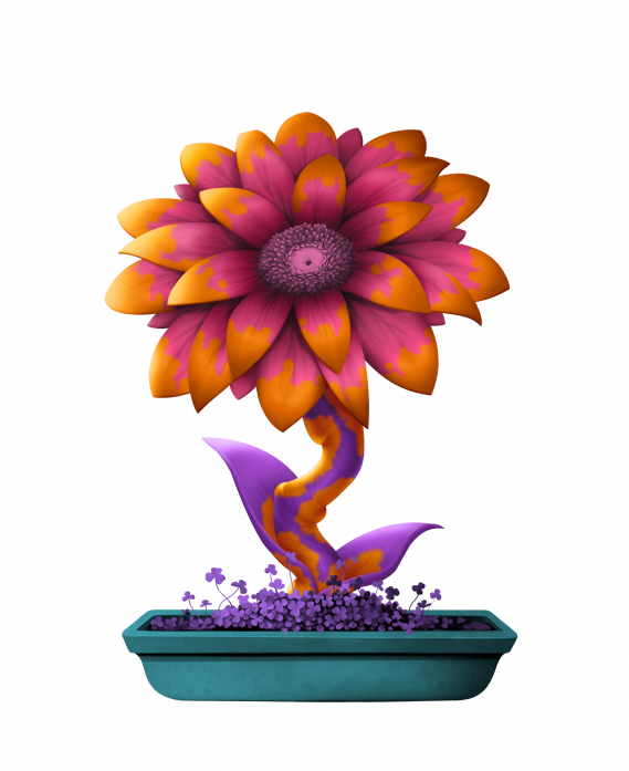 Cora