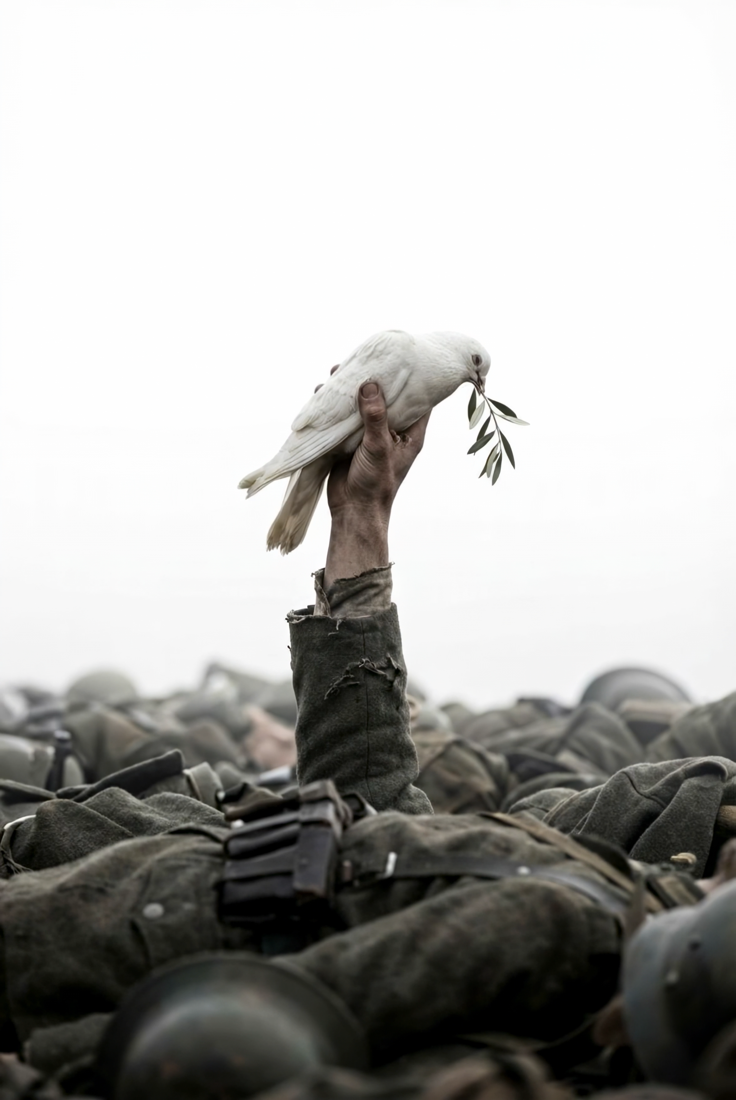 SEIZE PEACE