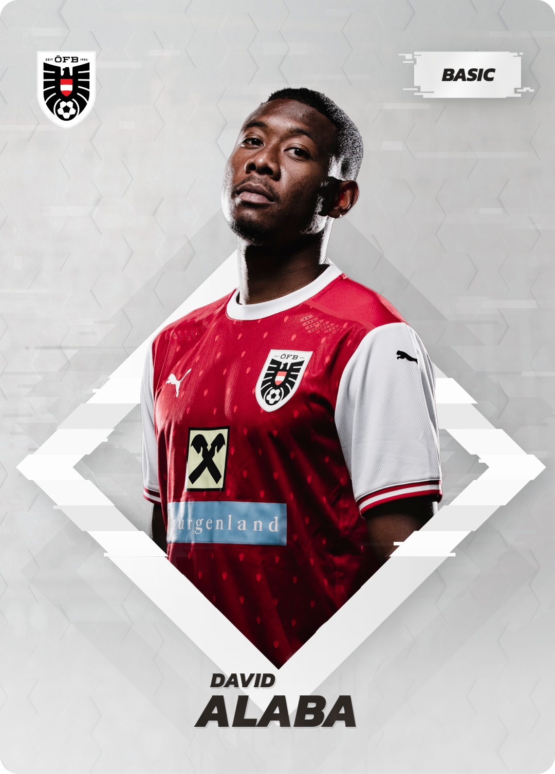 OEFB #248