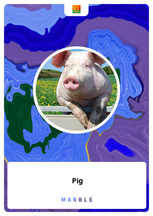 Pig