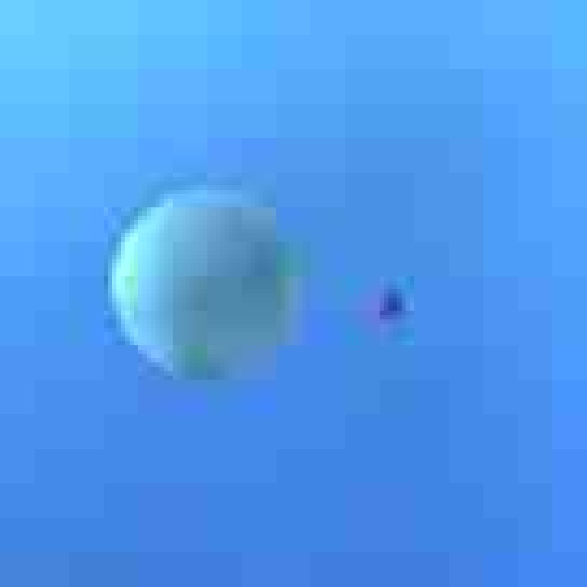 Orbit 276732656