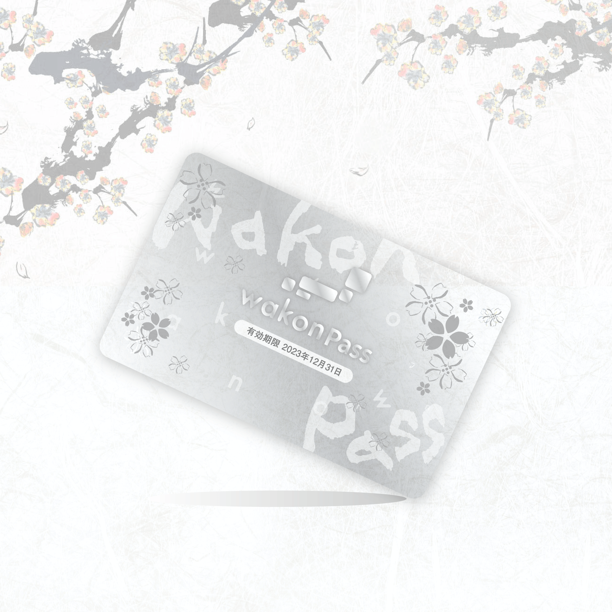 SILVER PASS #2549