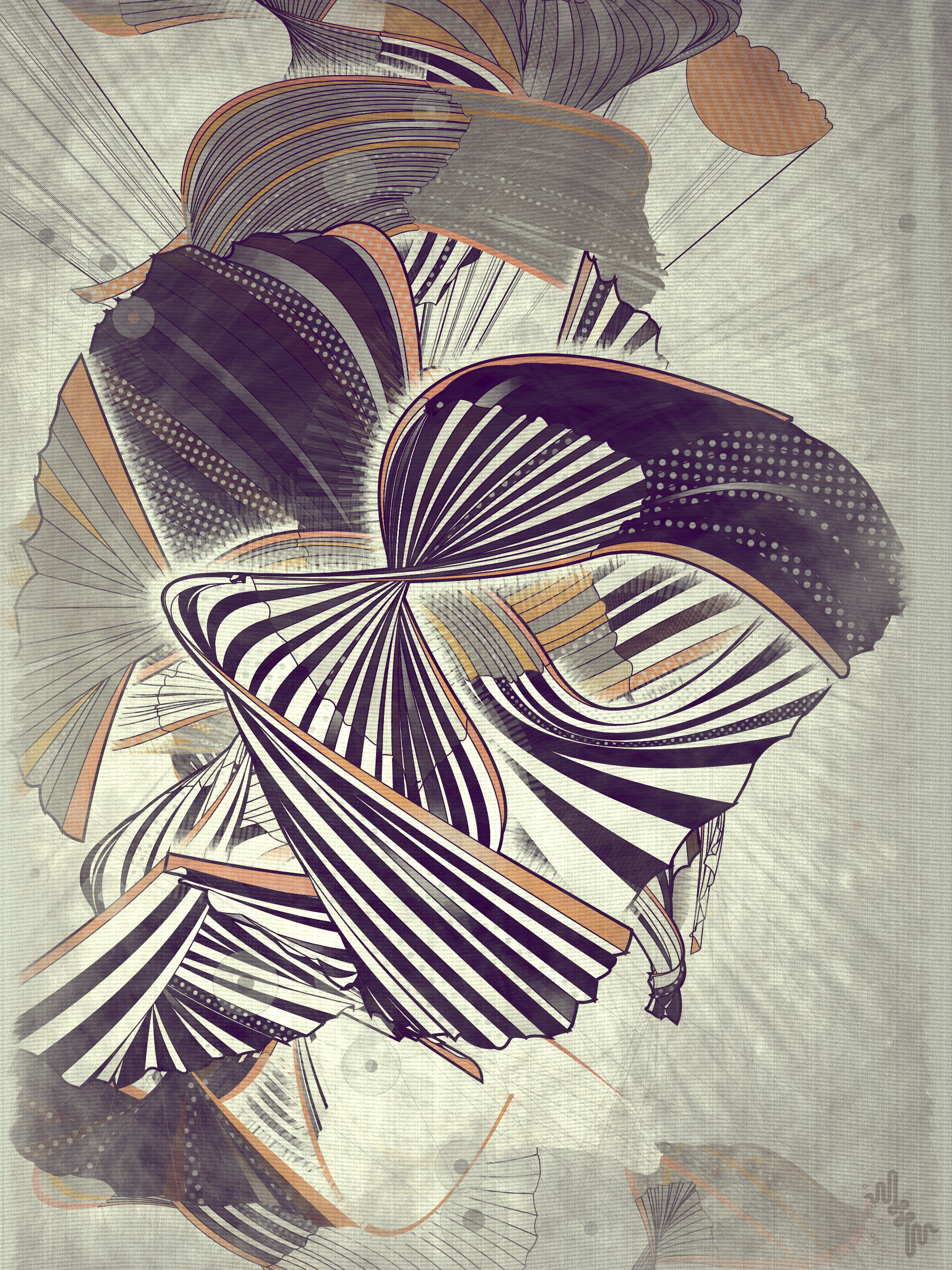 Velum #67