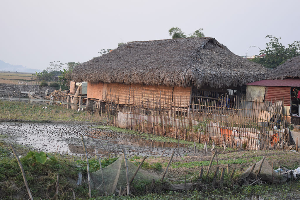 Village Hut
