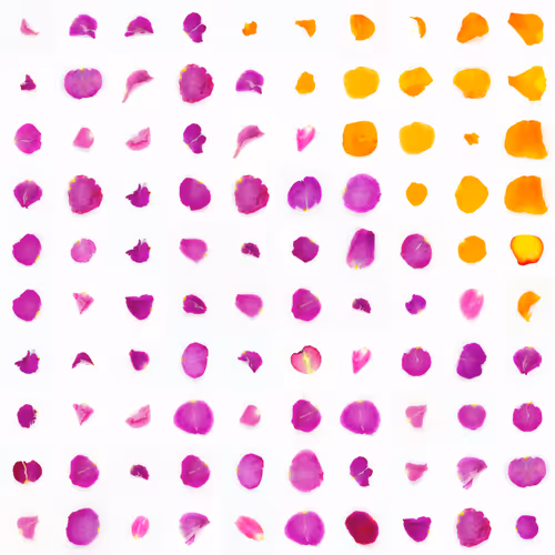 Infinite Petals 10x10#1801