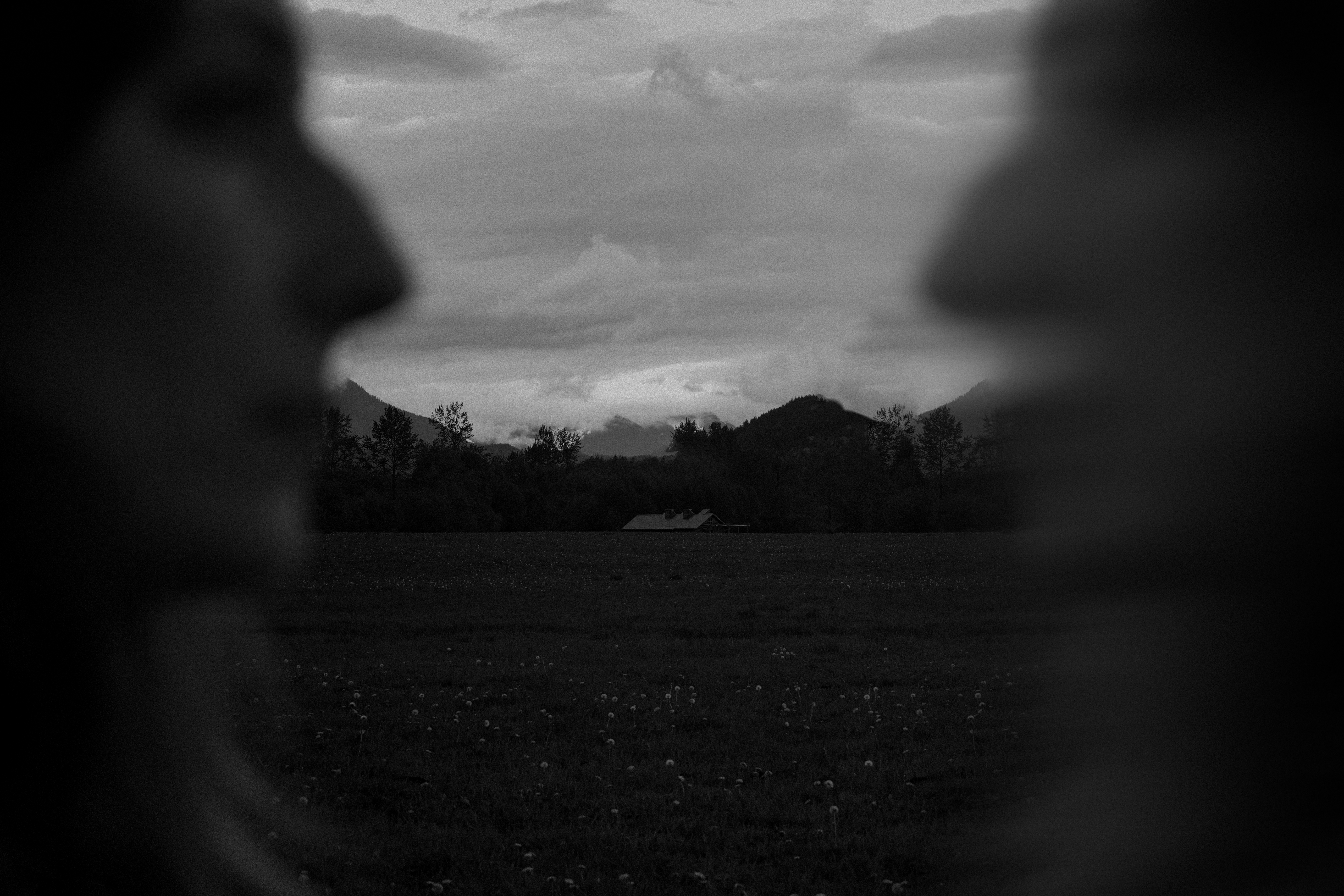 Shadow Self