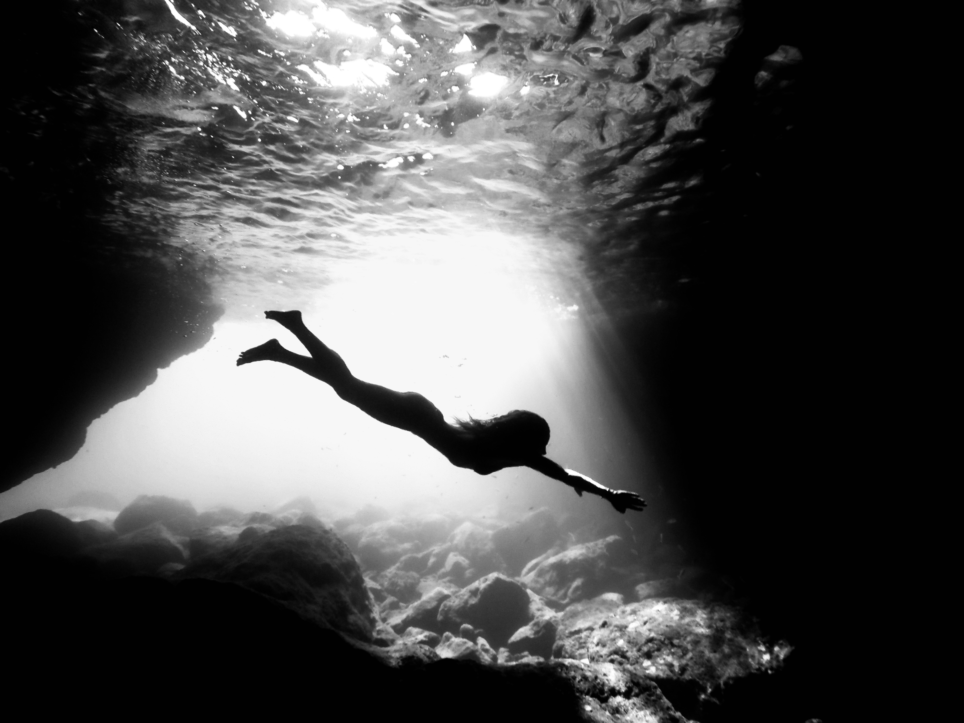 The High Tide (*)