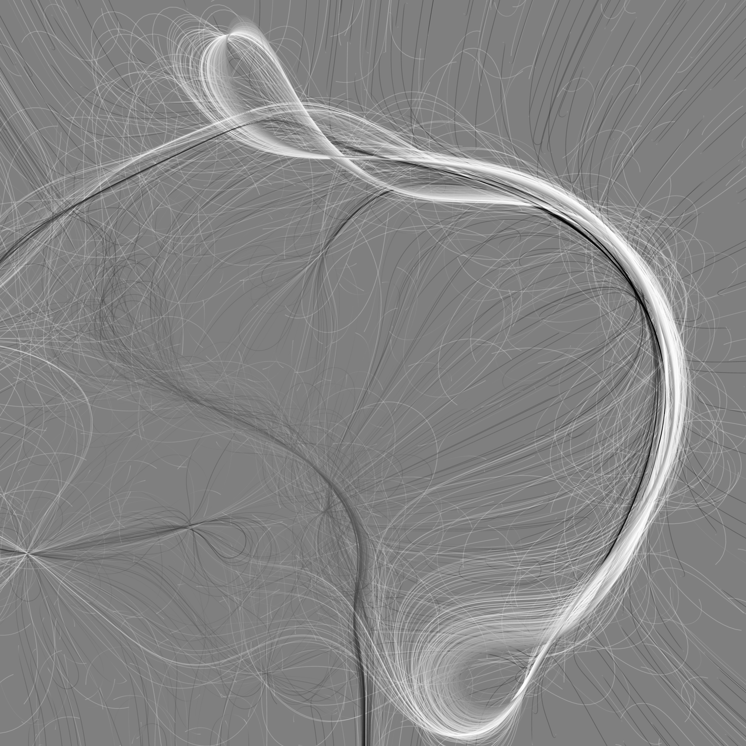 Phototaxis #114