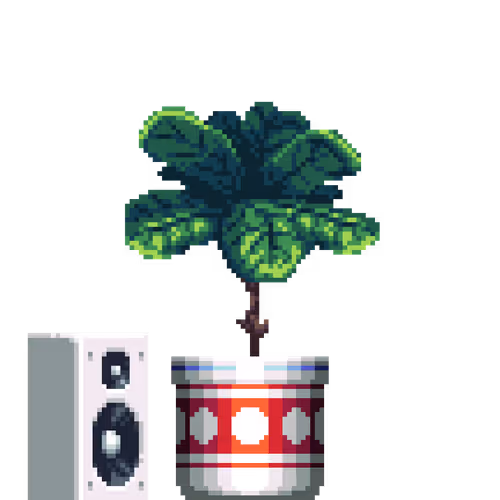 Fiddle-Leaf Fig in Large Premium Pattern pot with Speaker