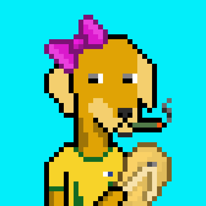 ViralataFunk #1253