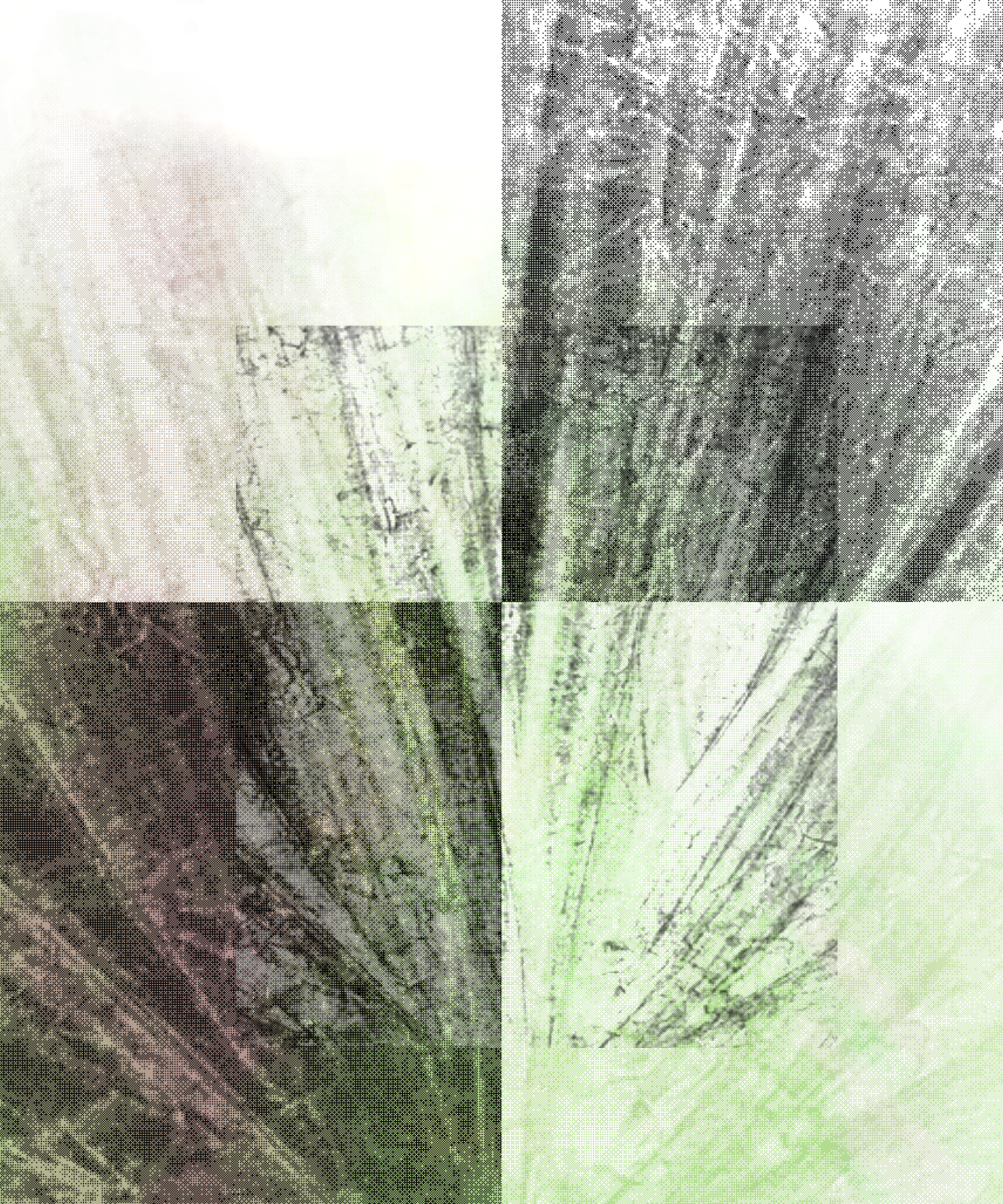 the spring begins with the first rainstorm #271