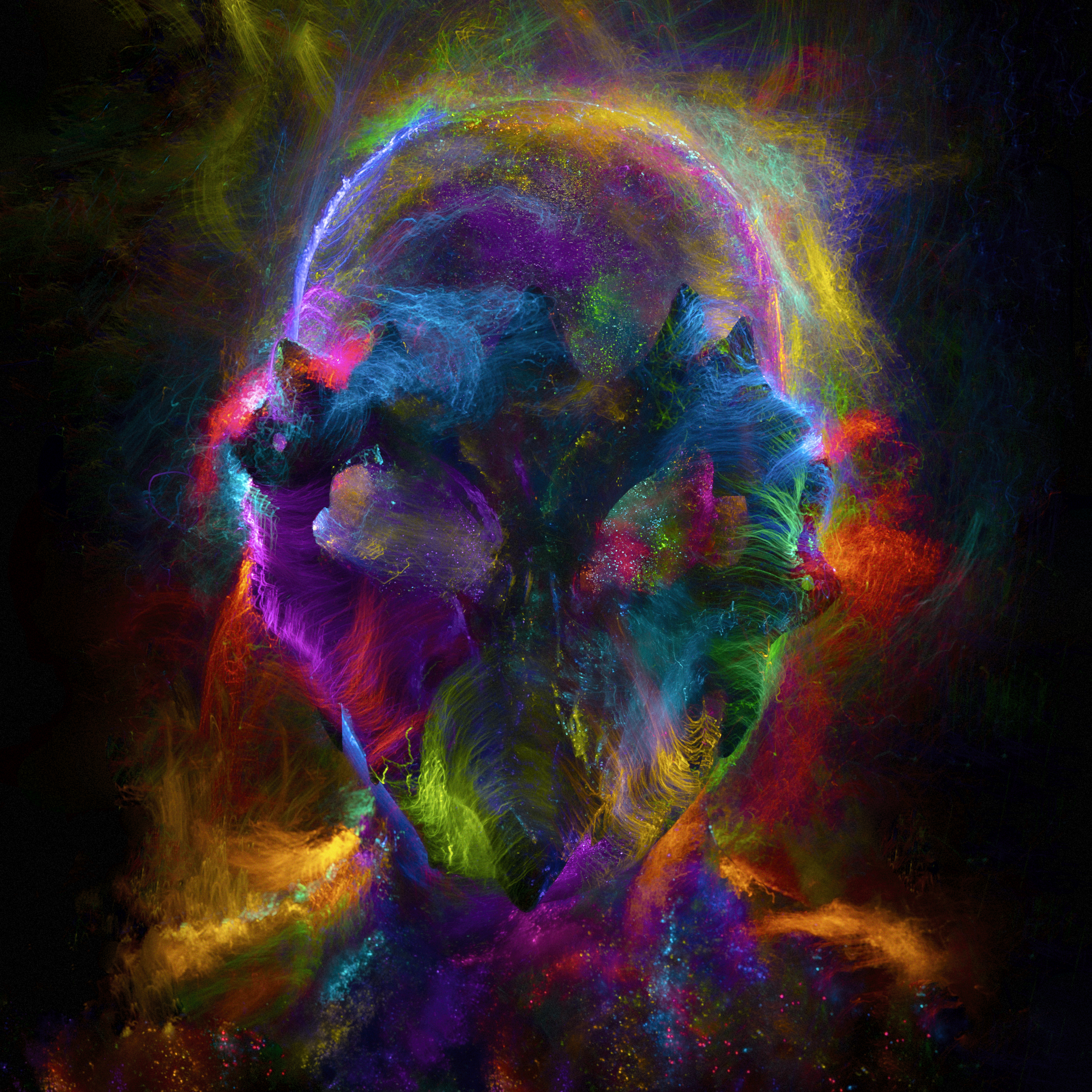 Lightborn avatars #169